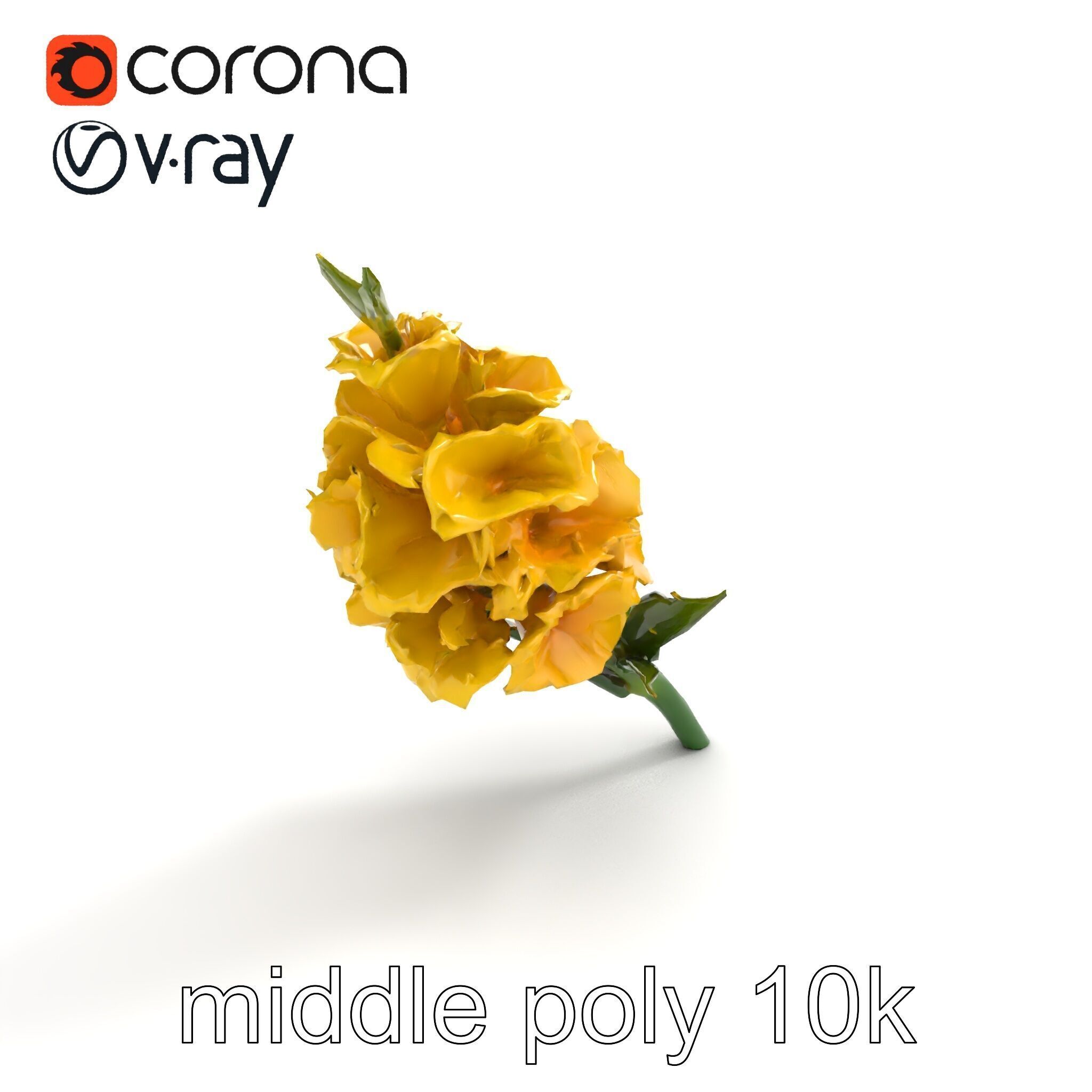 Gladiolus Yellow Flower Detailed Botanical Model Pack Low-poly 3D model_8