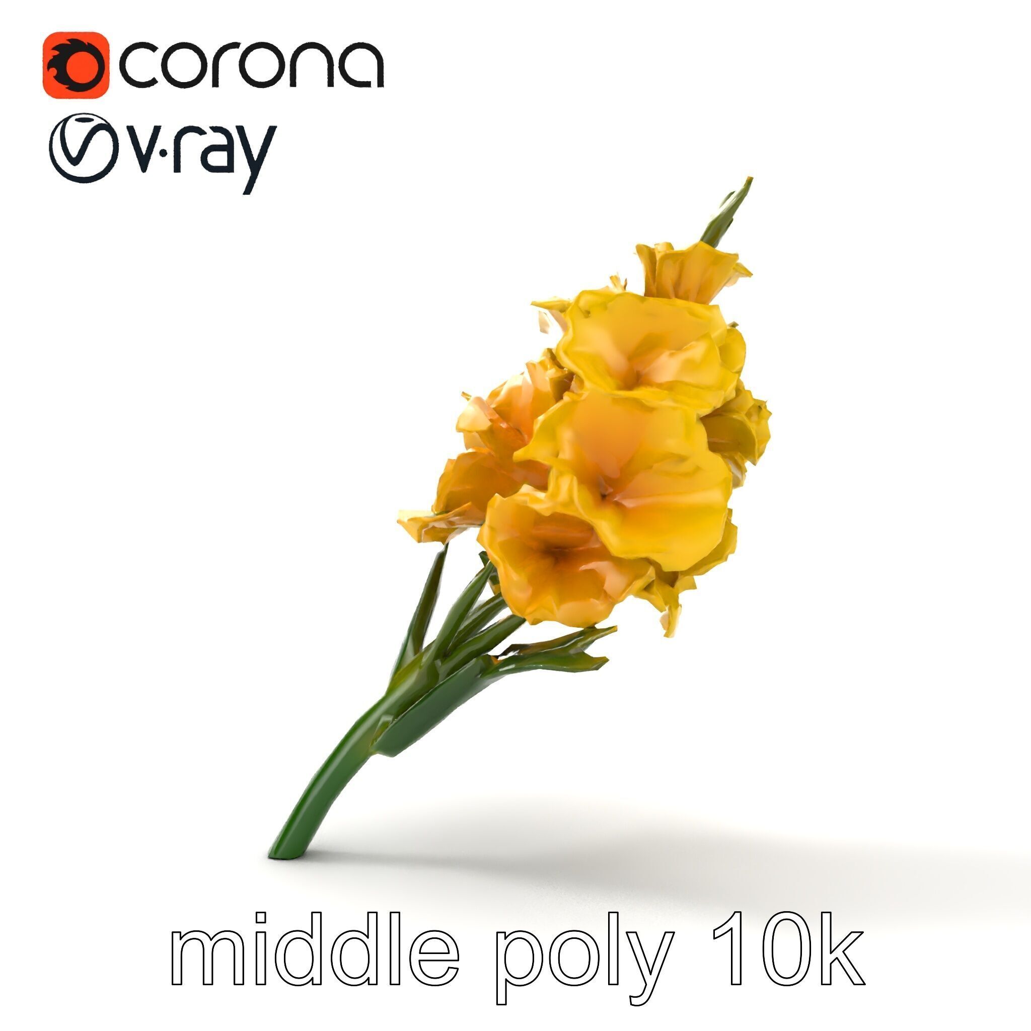 Gladiolus Yellow Flower Detailed Botanical Model Pack Low-poly 3D model_12