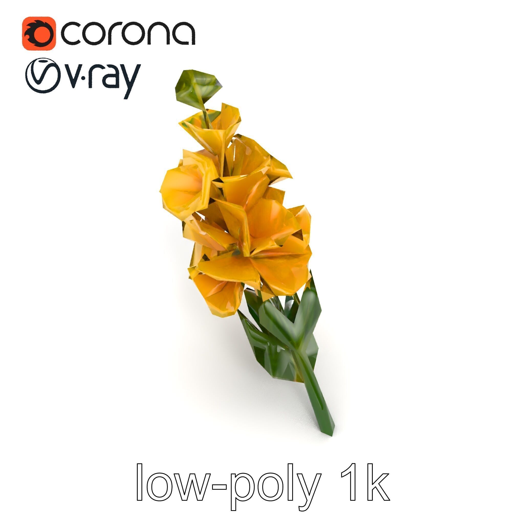Gladiolus Yellow Flower Detailed Botanical Model Pack Low-poly 3D model_30