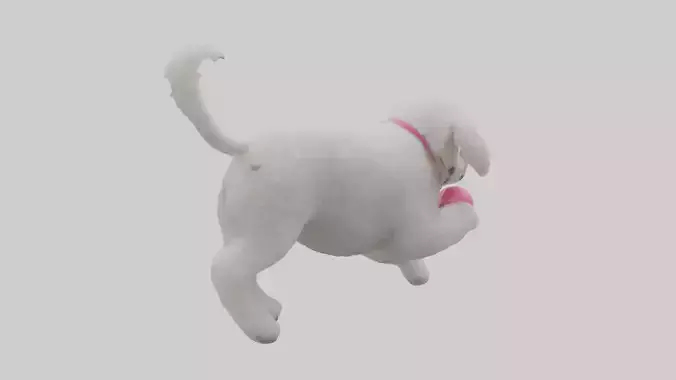 Poodle retrieving toy model Low-poly 3D model