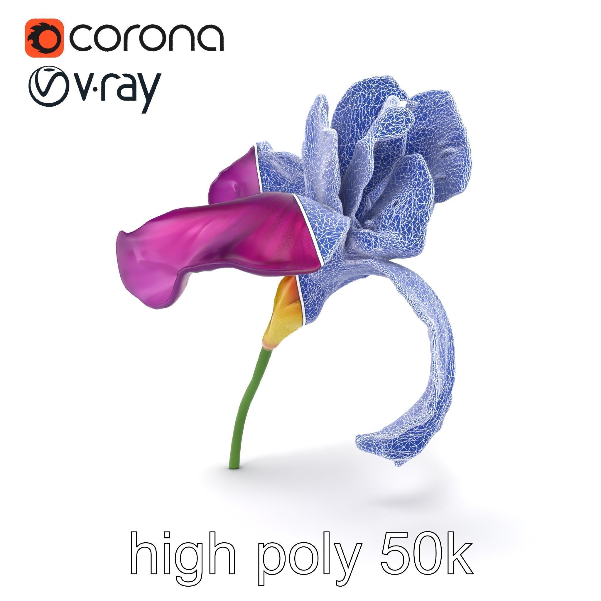 Graceful Iris Floral Sculpture model pack Low-poly 3D model_23