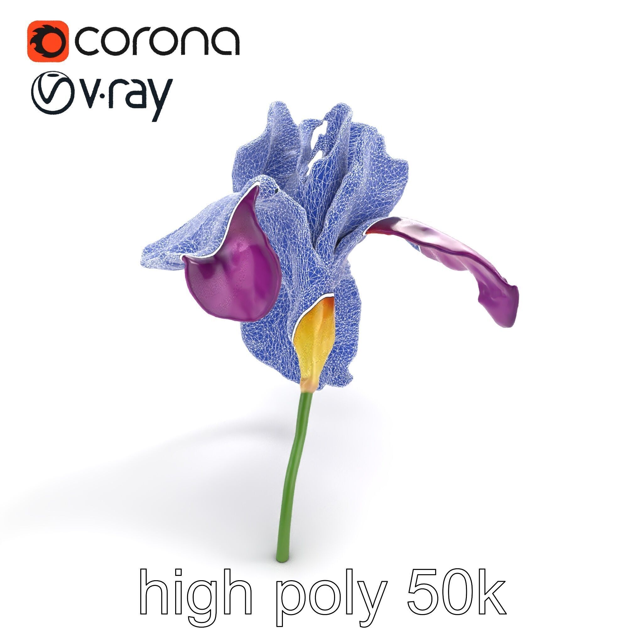 Graceful Iris Floral Sculpture model pack Low-poly 3D model_25