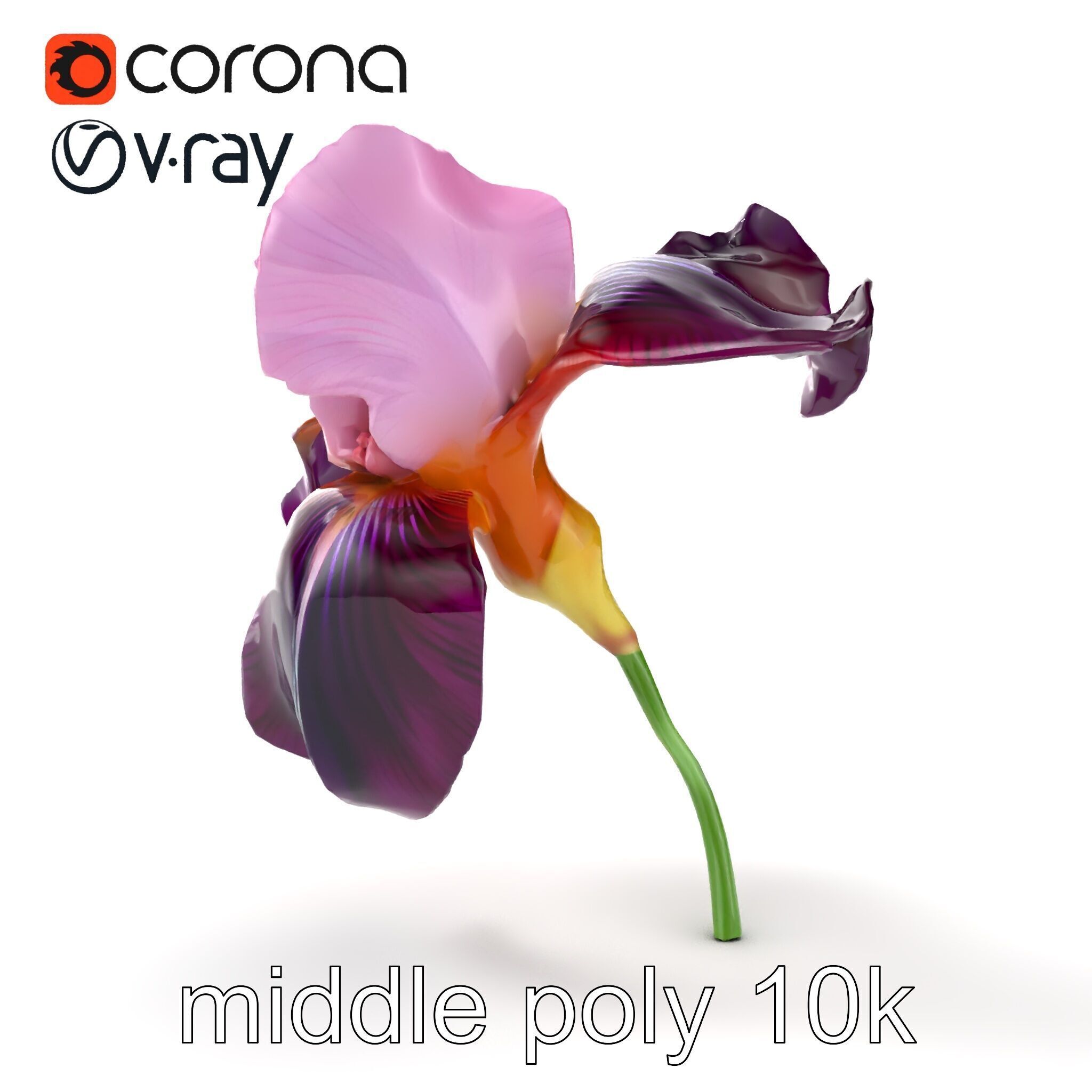 Graceful Iris Floral Sculpture model pack Low-poly 3D model_12