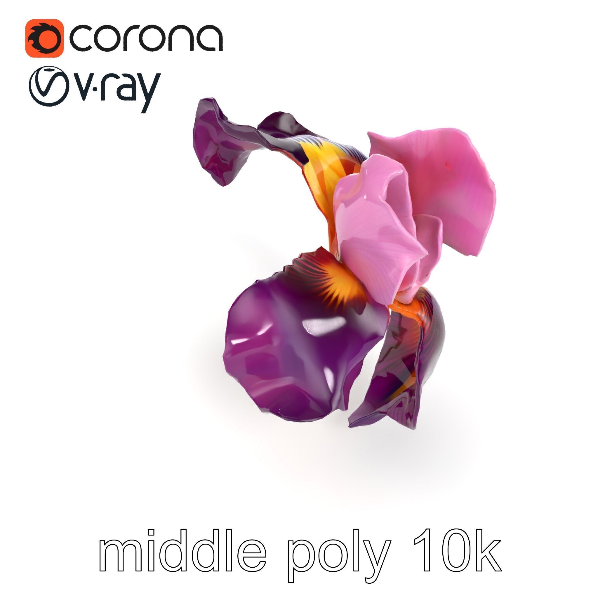 Graceful Iris Floral Sculpture model pack Low-poly 3D model_27