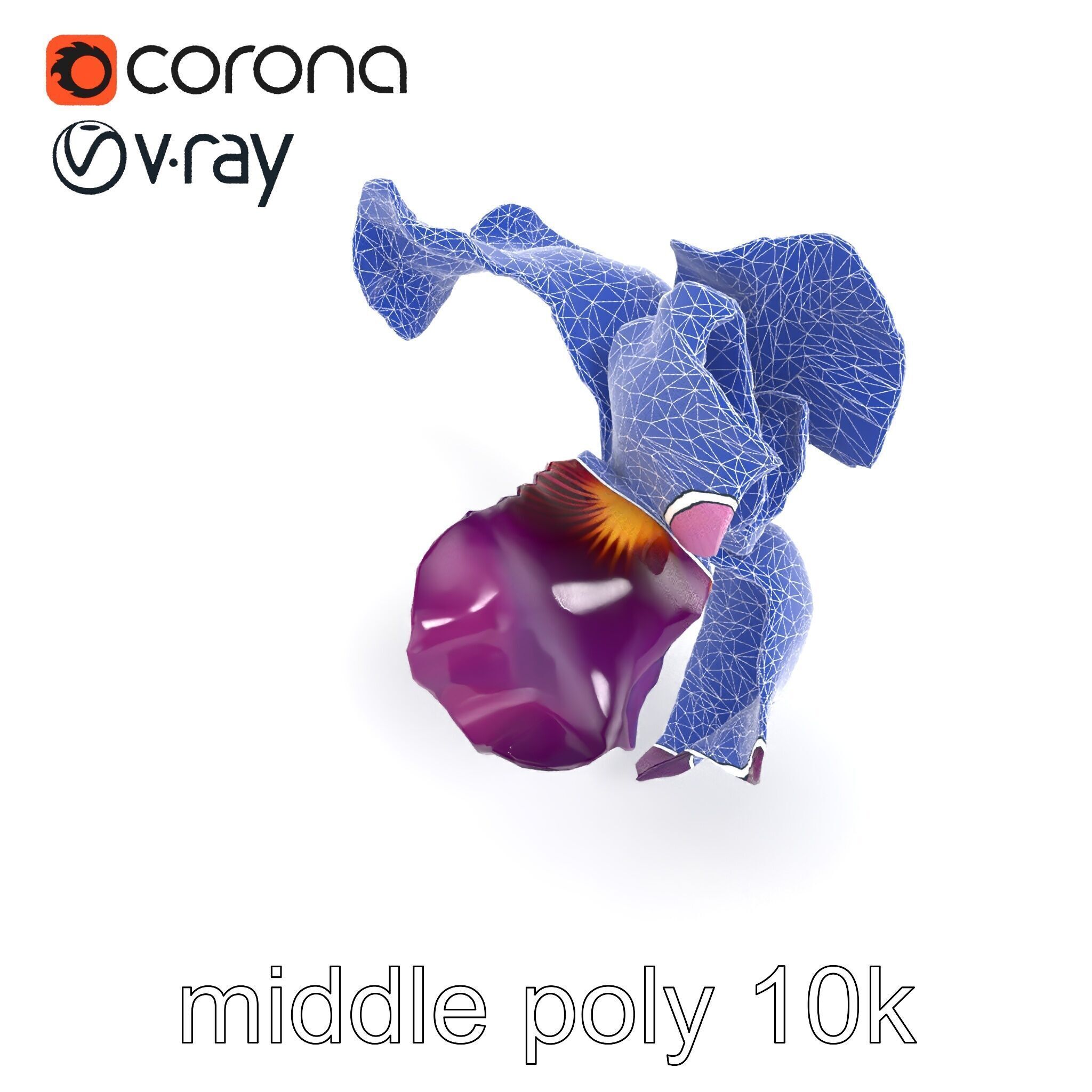 Graceful Iris Floral Sculpture model pack Low-poly 3D model_28