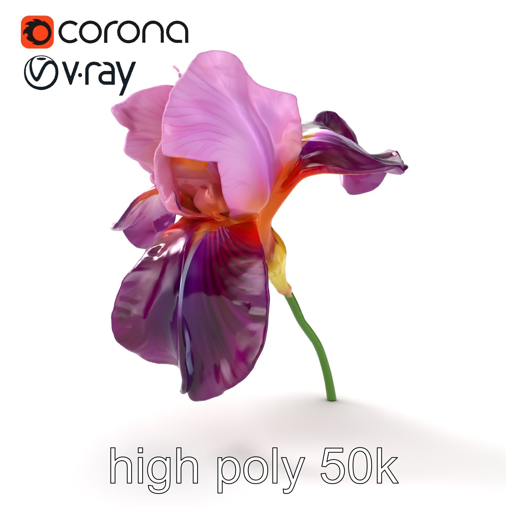 Graceful Iris Floral Sculpture model pack Low-poly 3D model_14