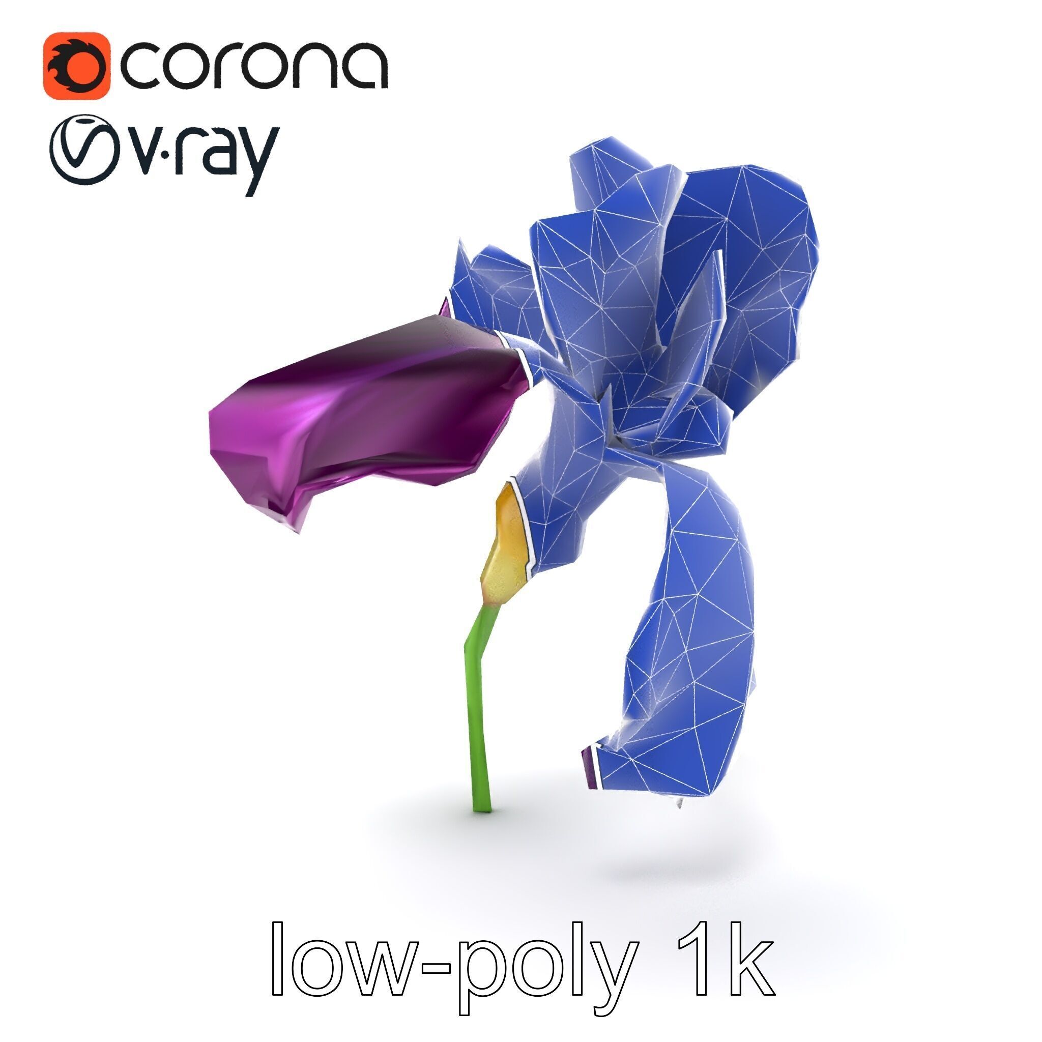Graceful Iris Floral Sculpture model pack Low-poly 3D model_24
