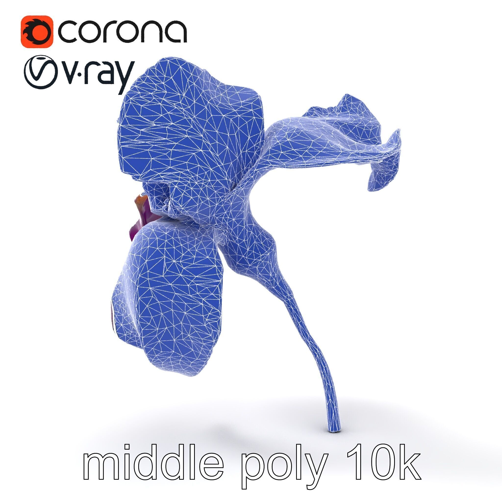 Graceful Iris Floral Sculpture model pack Low-poly 3D model_16