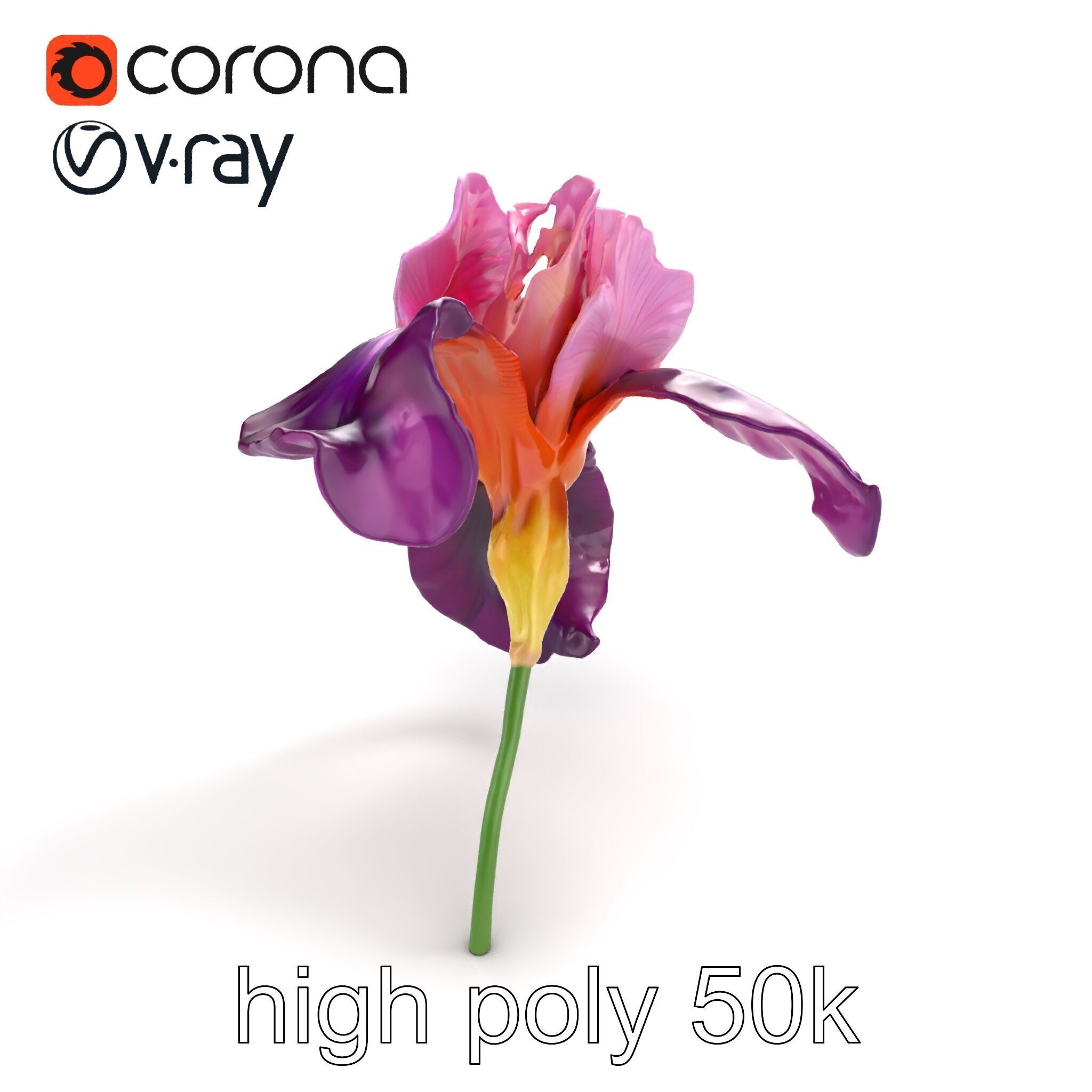 Graceful Iris Floral Sculpture model pack Low-poly 3D model_9