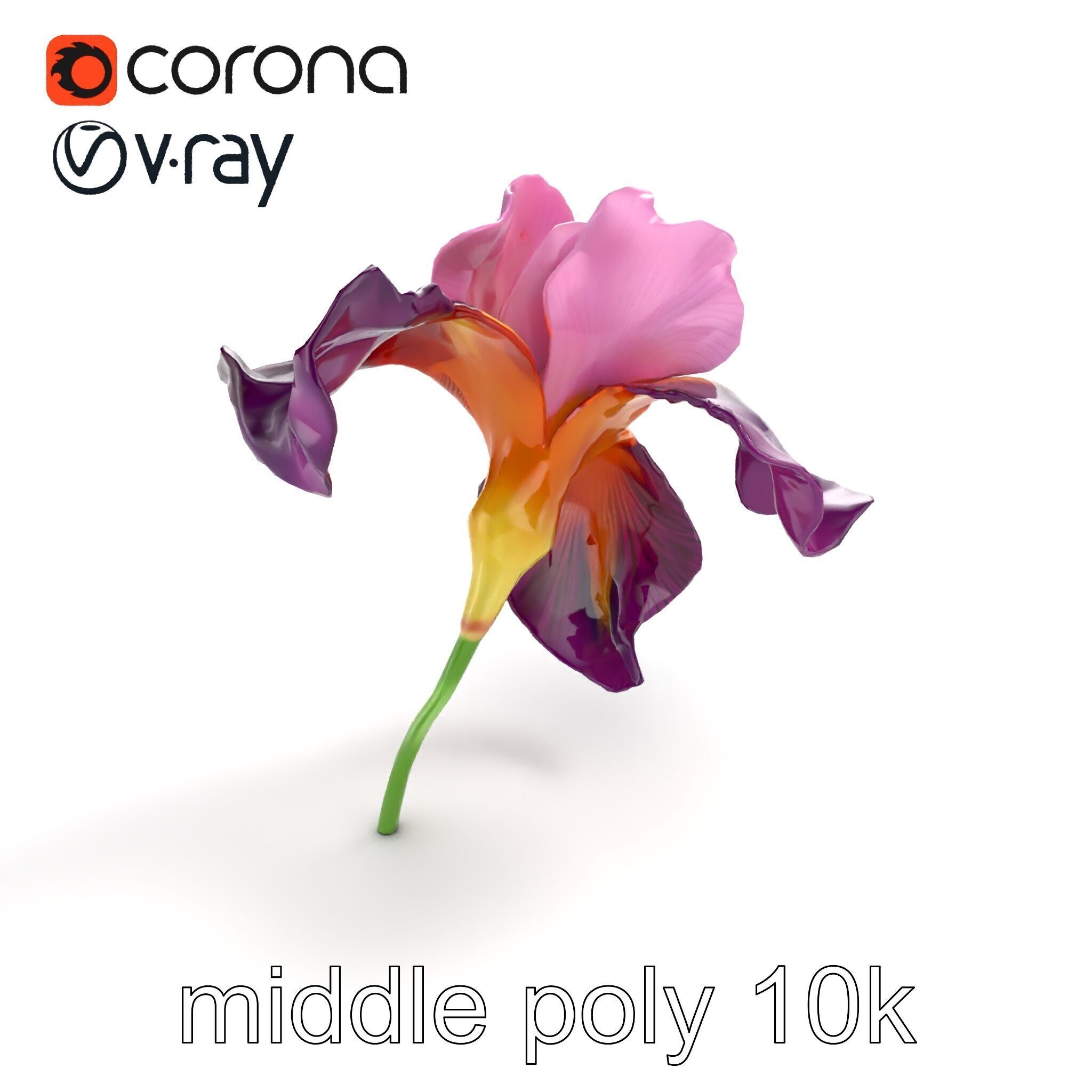 Graceful Iris Floral Sculpture model pack Low-poly 3D model_7