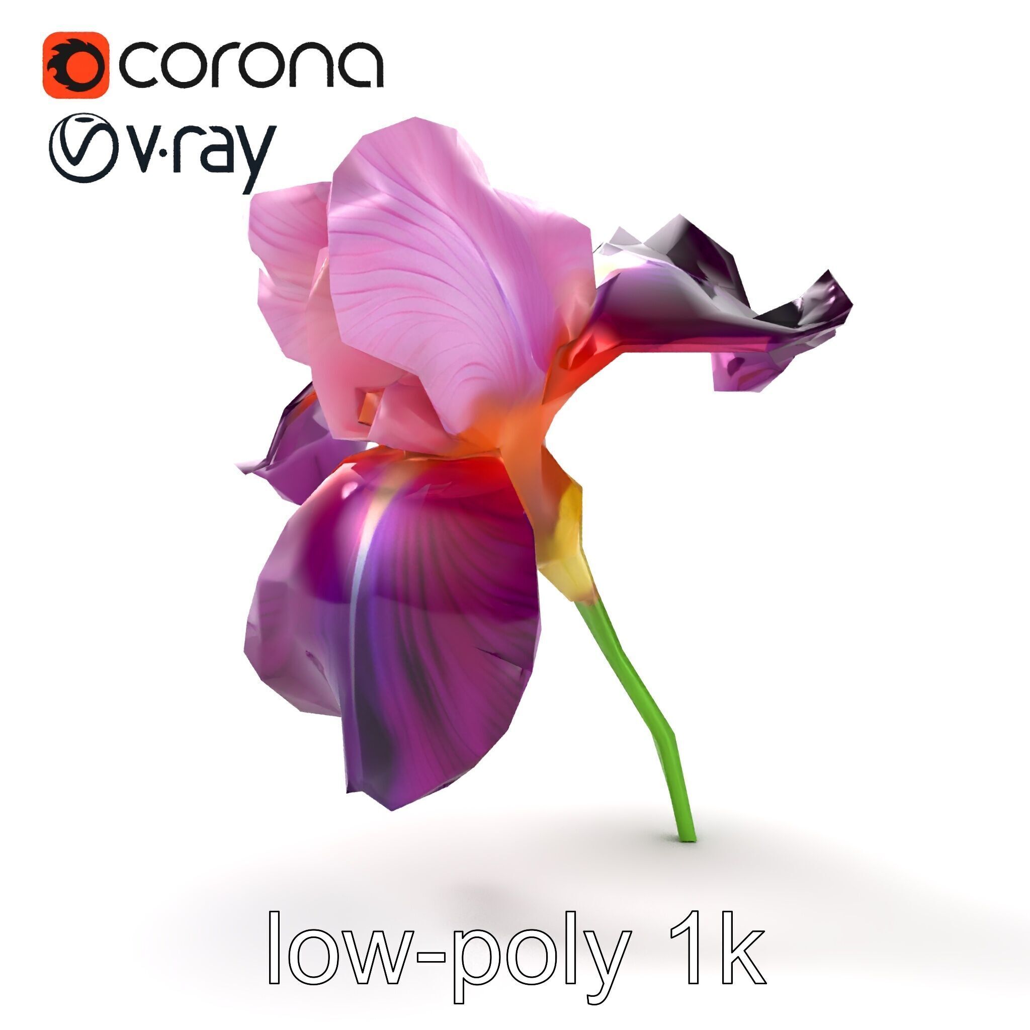 Graceful Iris Floral Sculpture model pack Low-poly 3D model_13