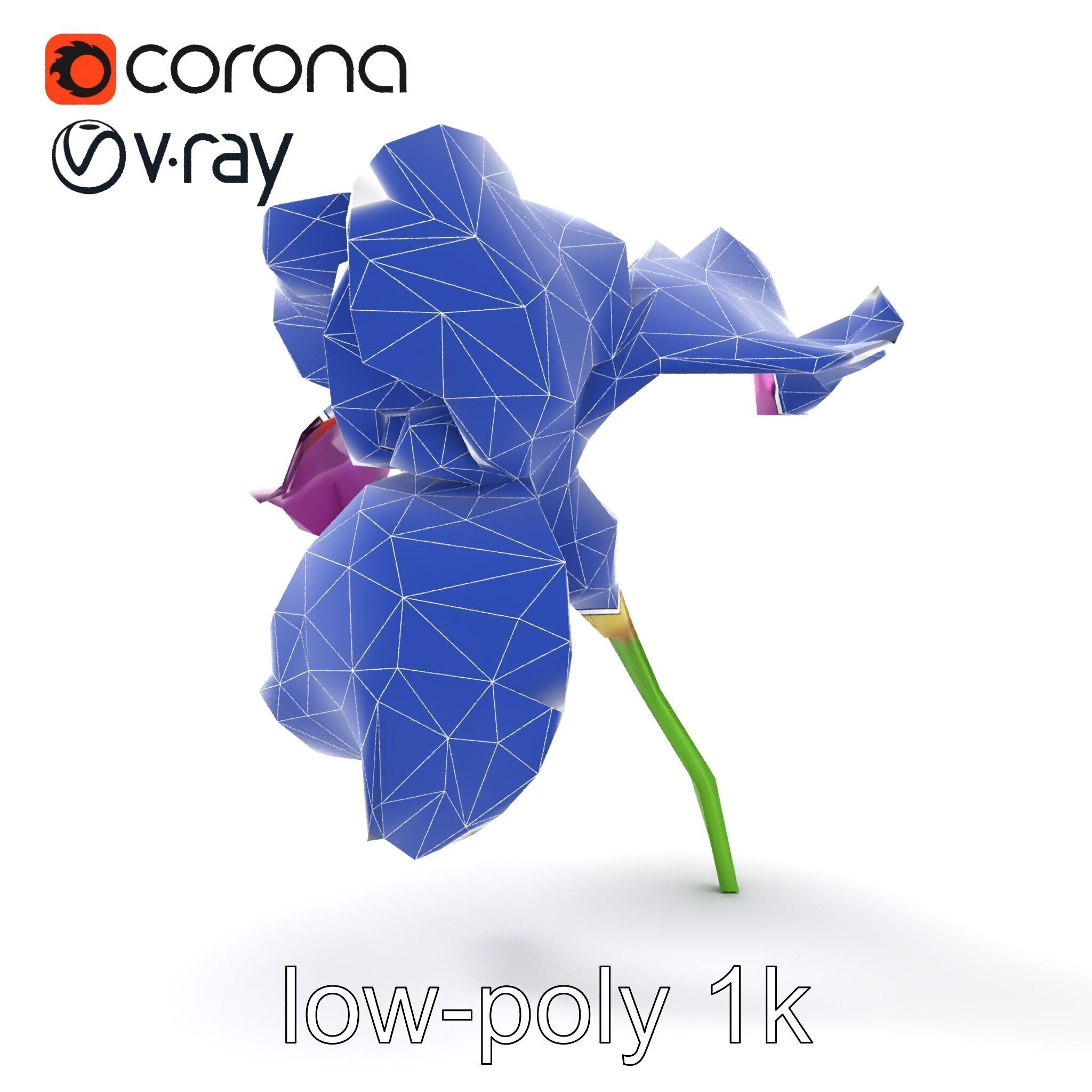 Graceful Iris Floral Sculpture model pack Low-poly 3D model_30
