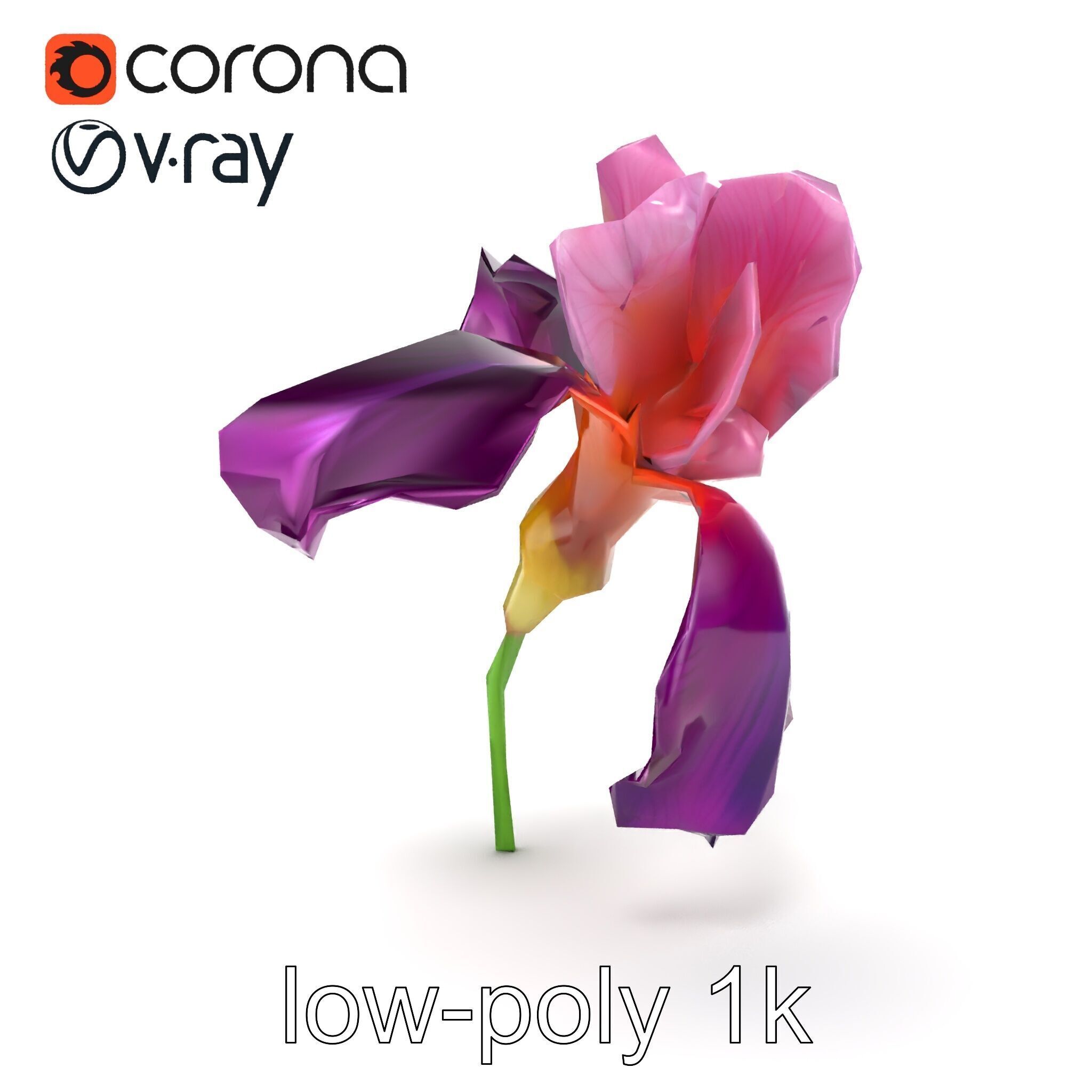 Graceful Iris Floral Sculpture model pack Low-poly 3D model_20
