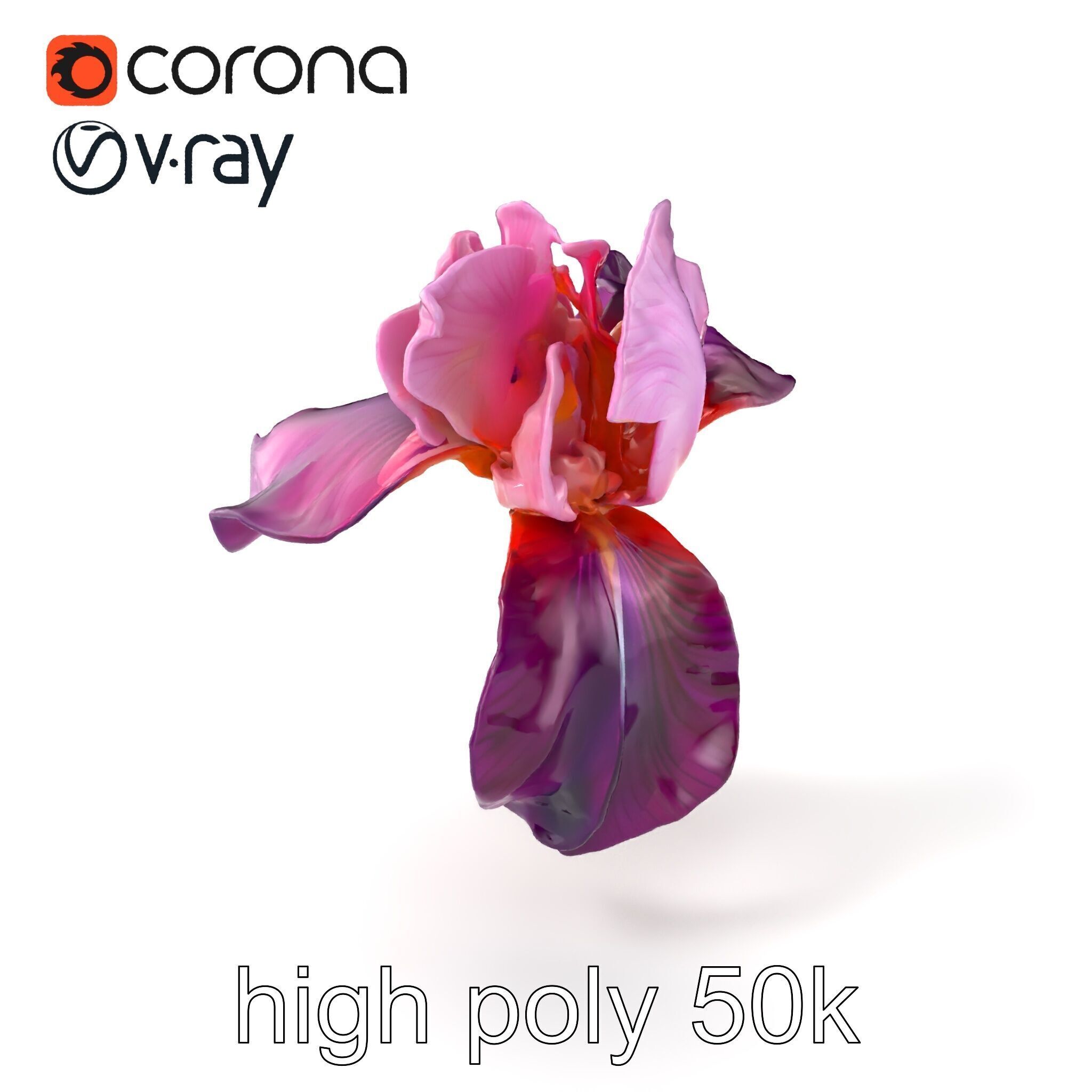 Graceful Iris Floral Sculpture model pack Low-poly 3D model_2