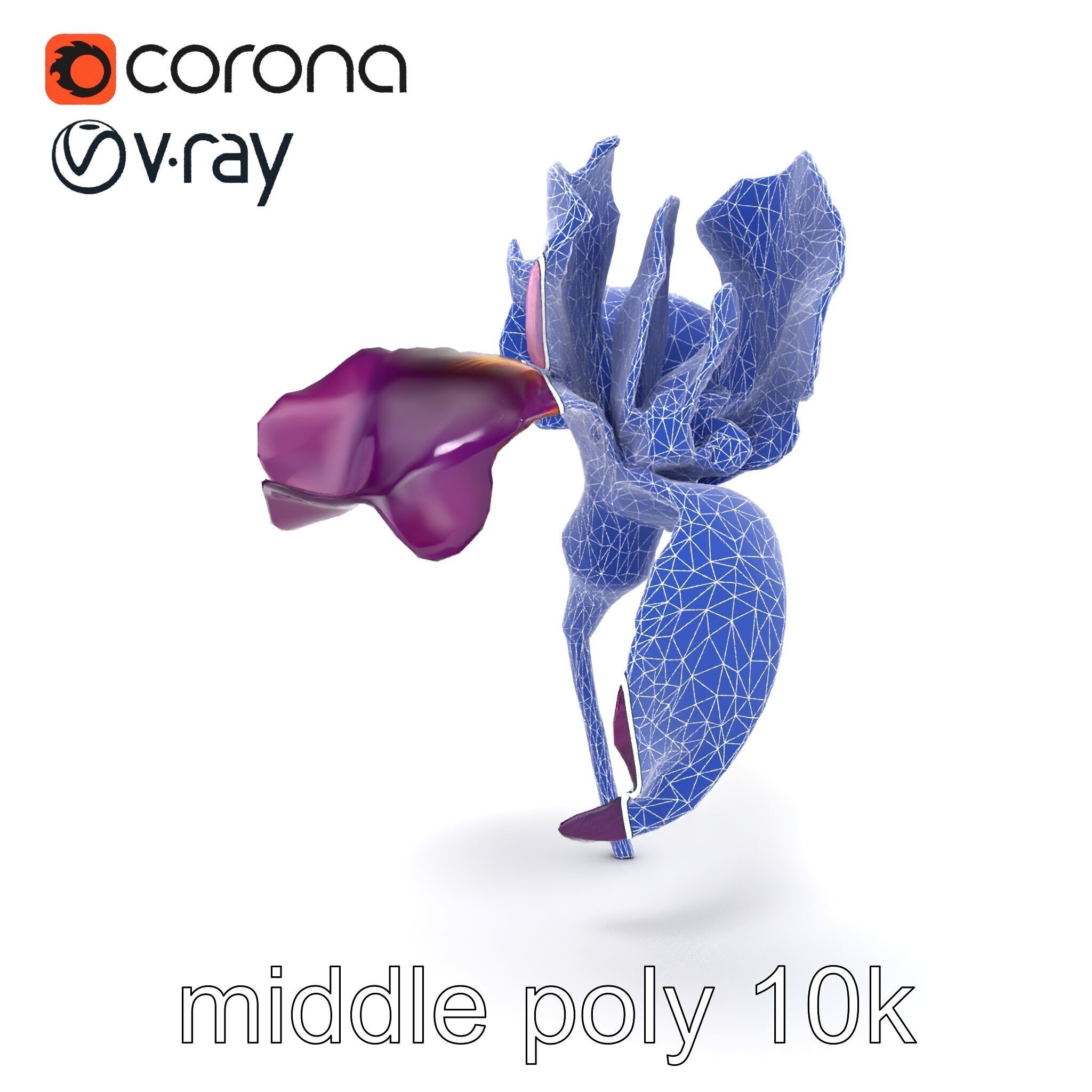 Graceful Iris Floral Sculpture model pack Low-poly 3D model_21