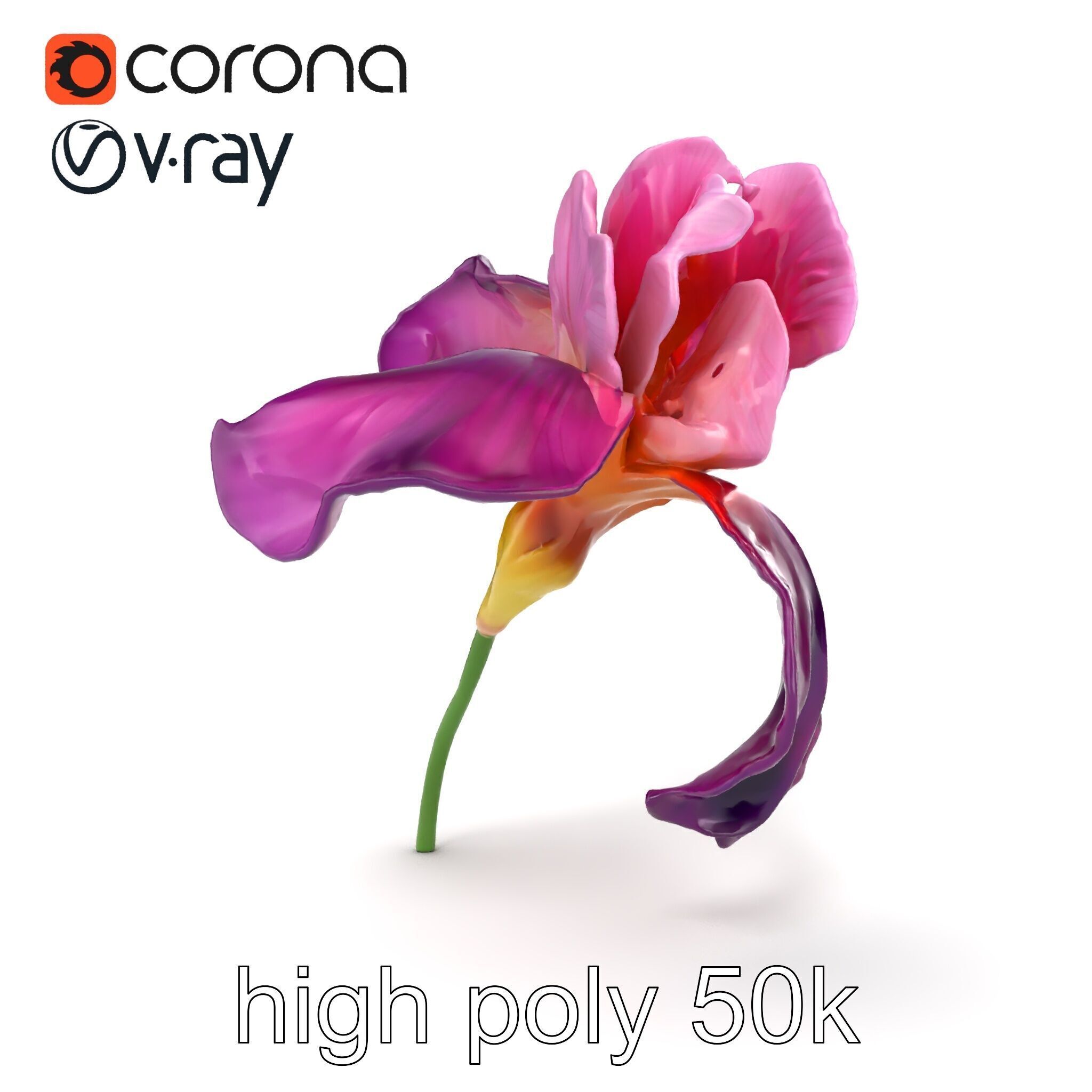 Graceful Iris Floral Sculpture model pack Low-poly 3D model_15