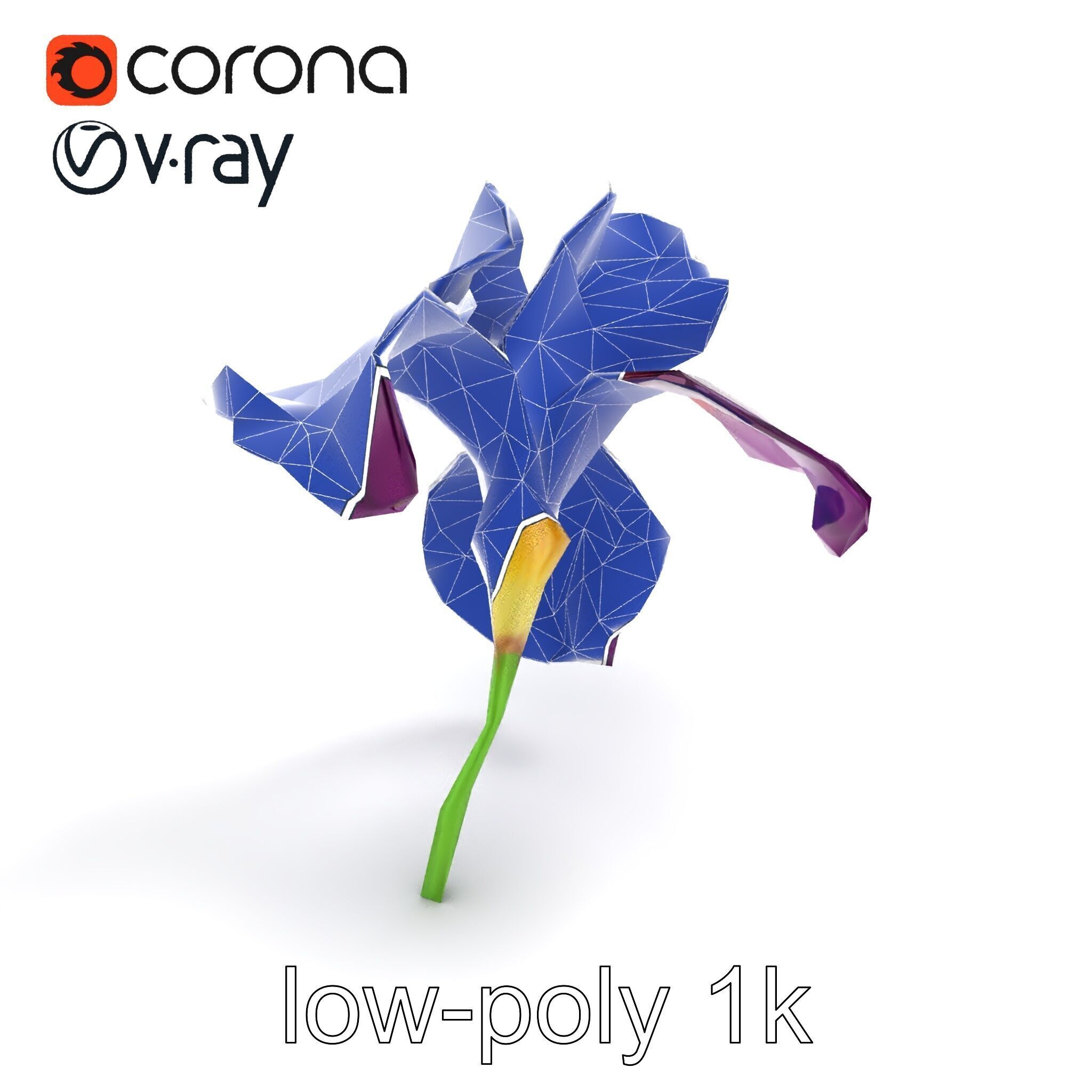 Graceful Iris Floral Sculpture model pack Low-poly 3D model_29