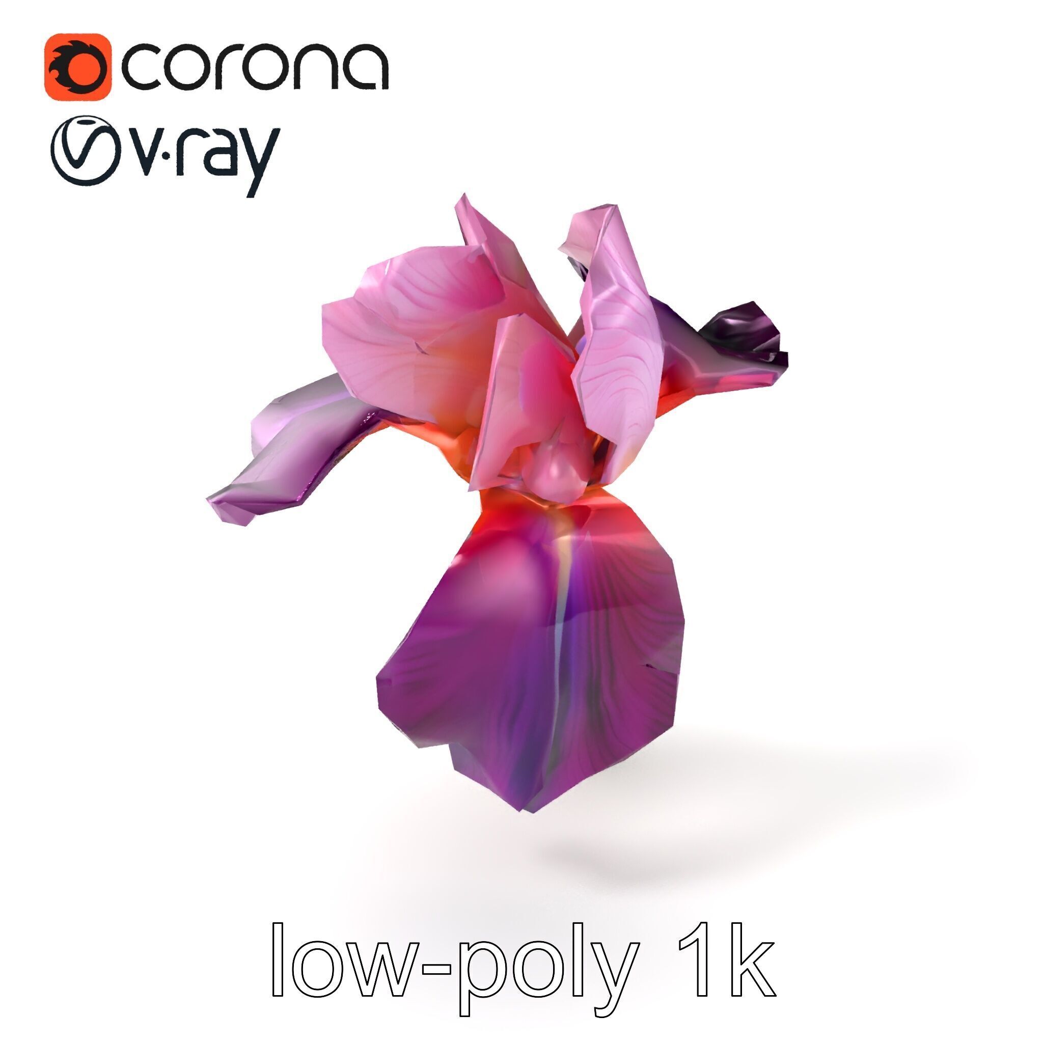 Graceful Iris Floral Sculpture model pack Low-poly 3D model_4