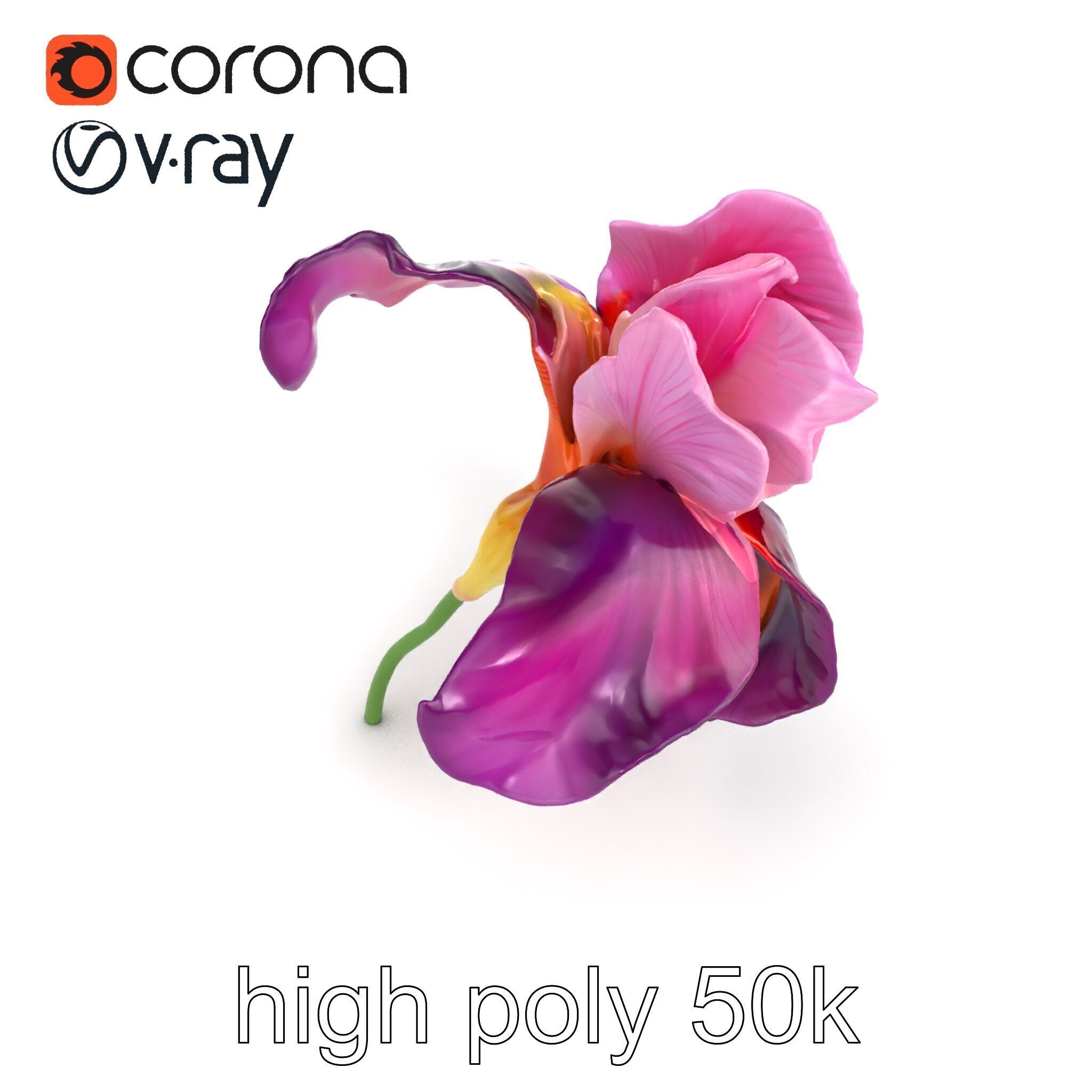 Graceful Iris Floral Sculpture model pack Low-poly 3D model_18