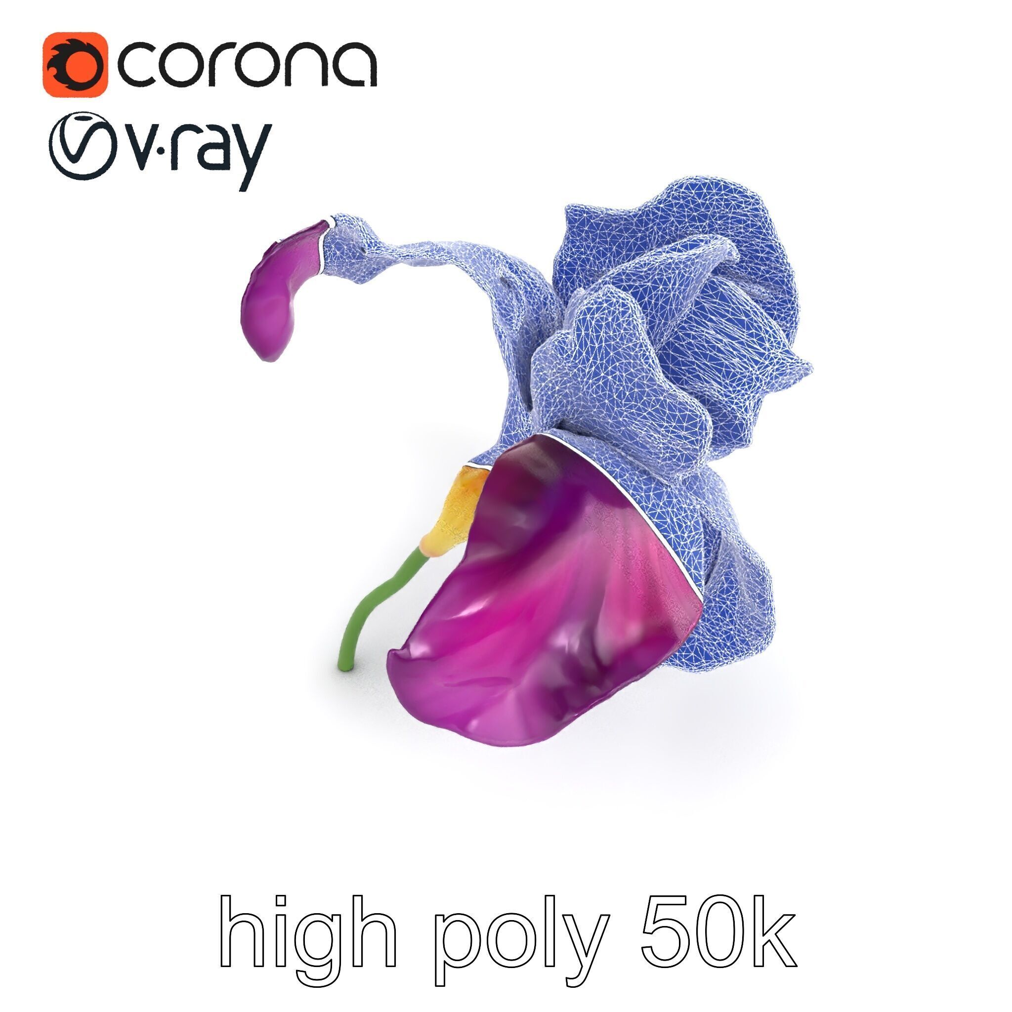 Graceful Iris Floral Sculpture model pack Low-poly 3D model_22