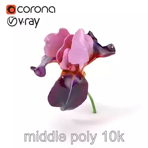 Graceful Iris Floral Sculpture model pack Low-poly 3D model