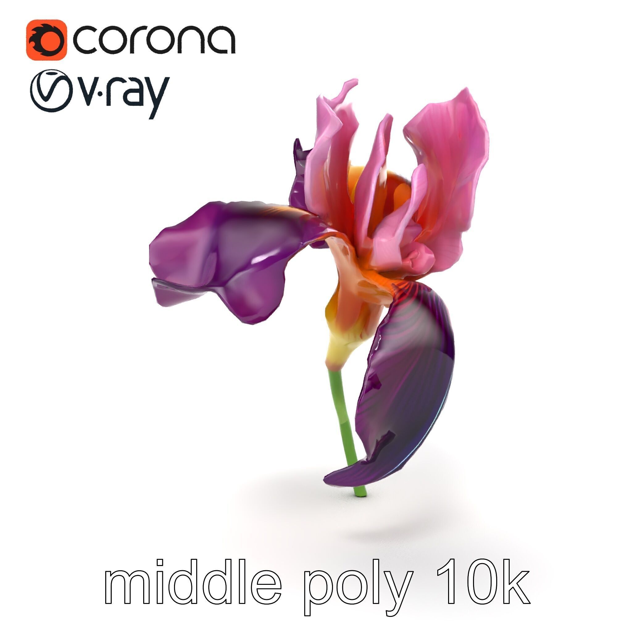 Graceful Iris Floral Sculpture model pack Low-poly 3D model_17