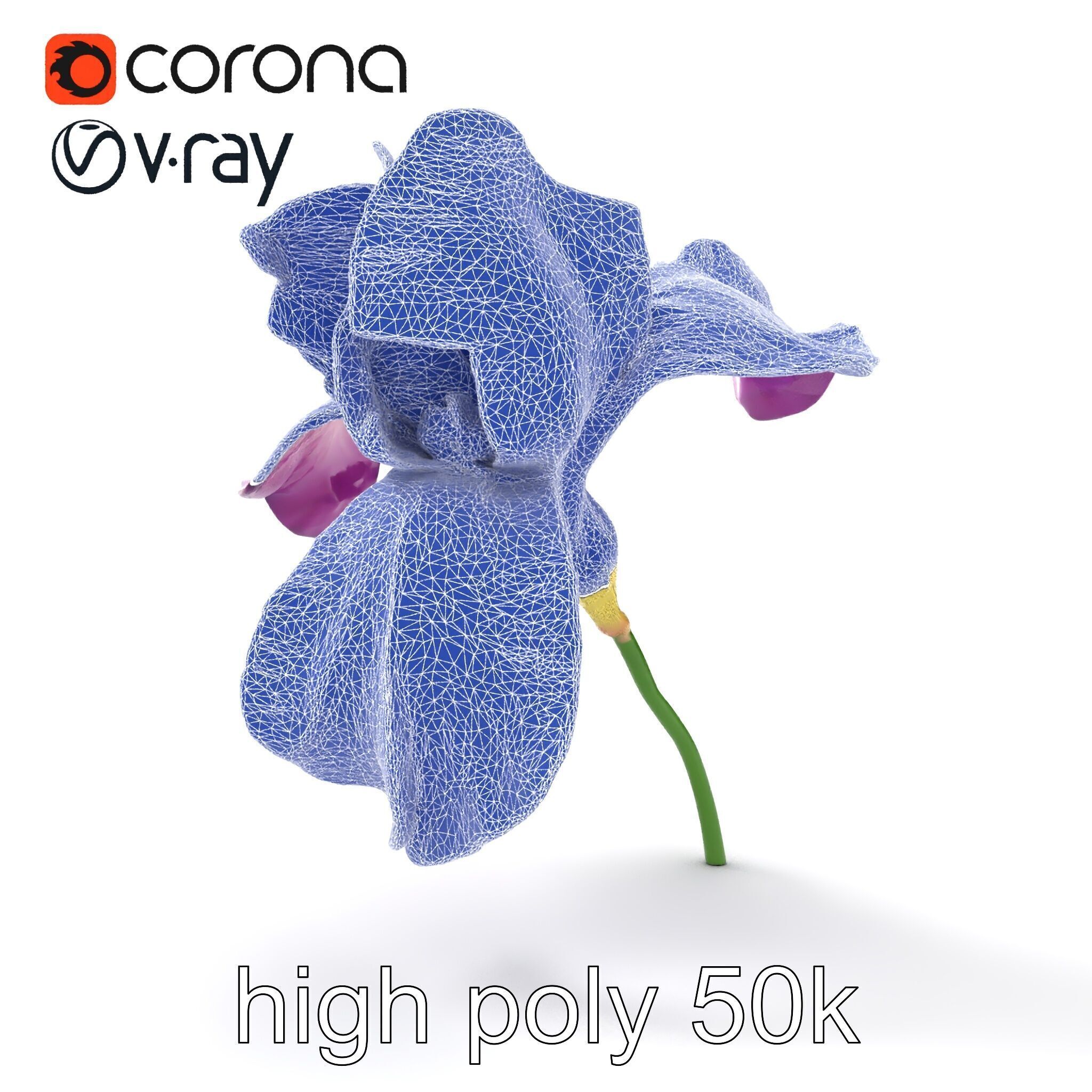 Graceful Iris Floral Sculpture model pack Low-poly 3D model_26