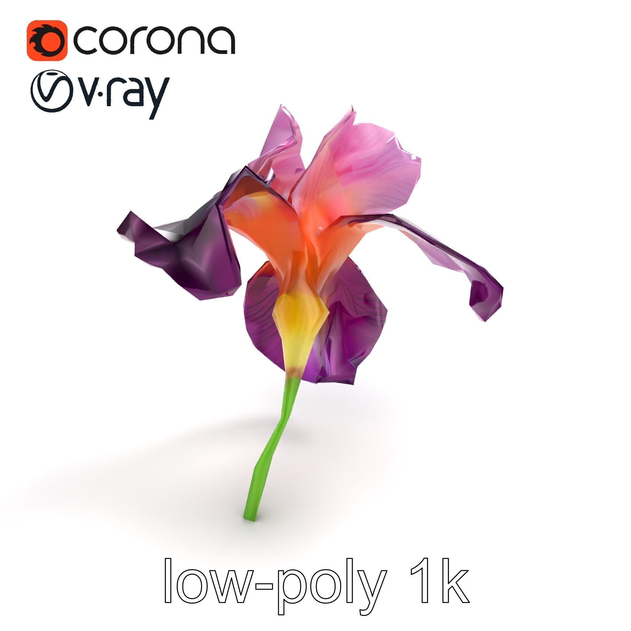 Graceful Iris Floral Sculpture model pack Low-poly 3D model_8