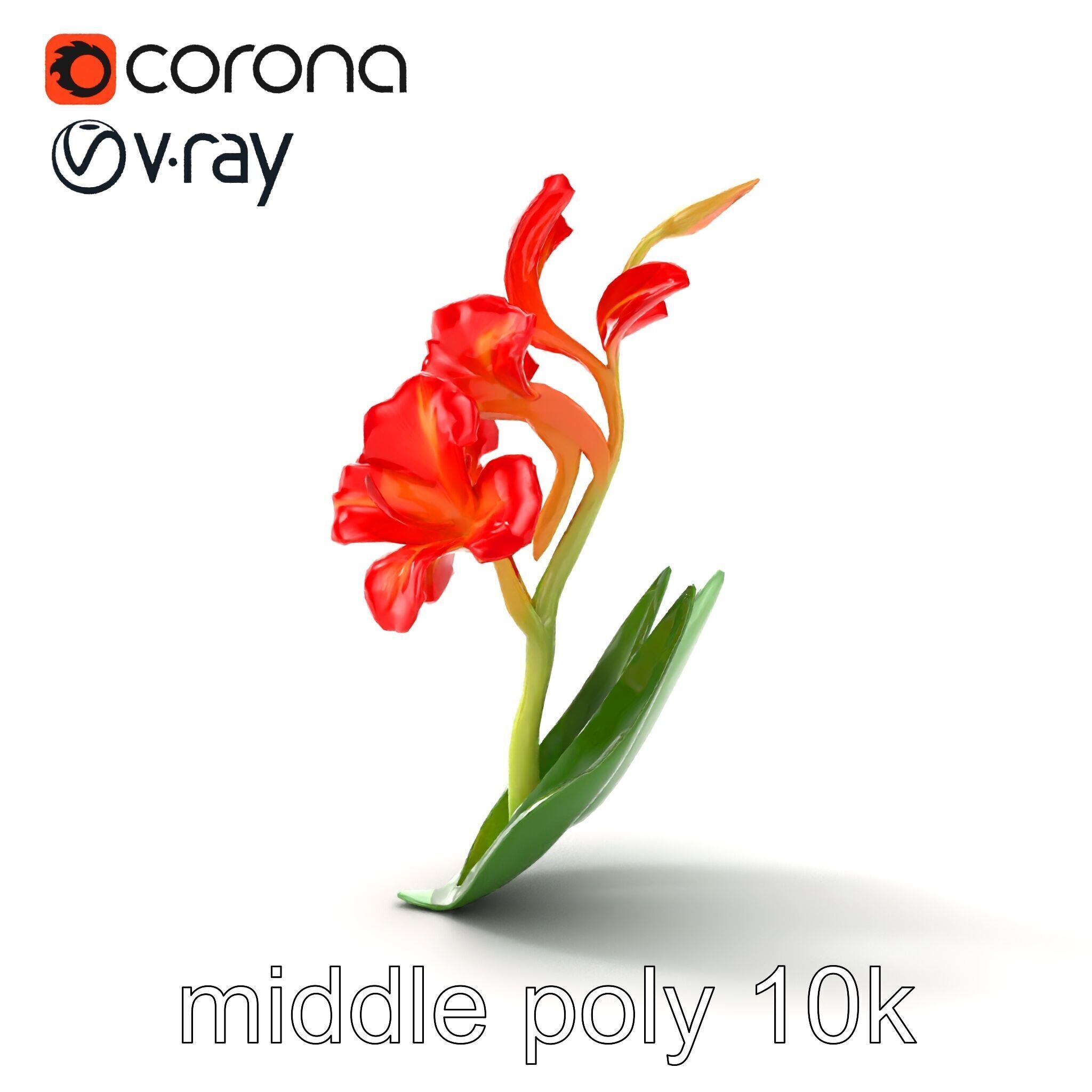 Miniature Gladiolus Flower Realistic Petal Model Pack Low-poly 3D model_19