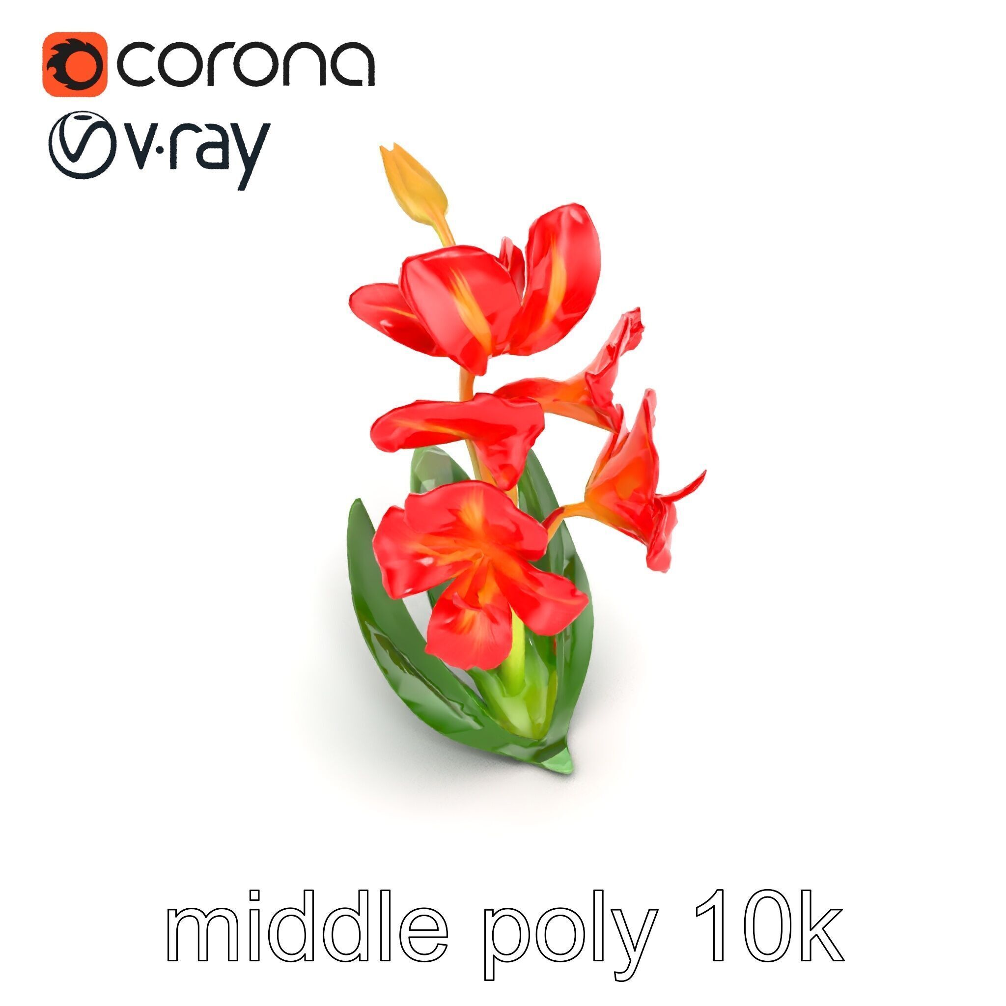 Miniature Gladiolus Flower Realistic Petal Model Pack Low-poly 3D model_15