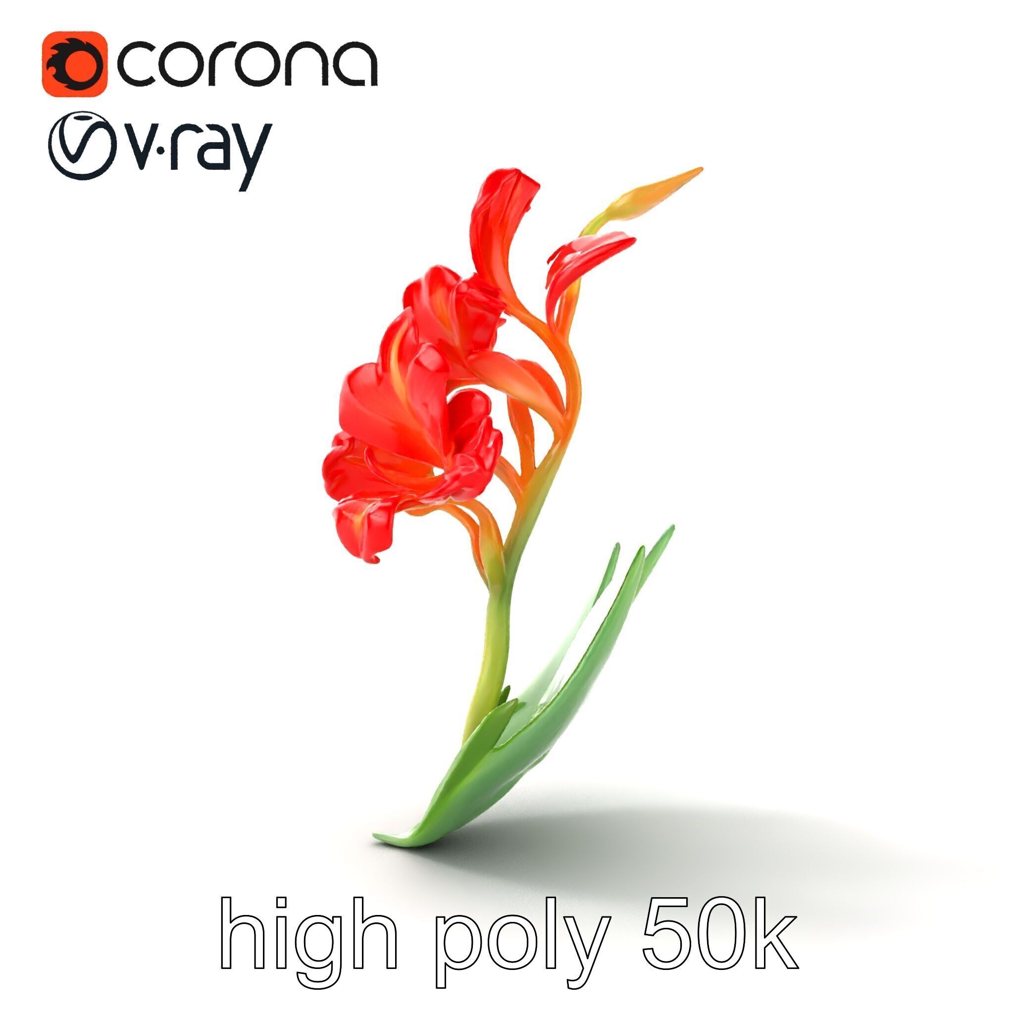 Miniature Gladiolus Flower Realistic Petal Model Pack Low-poly 3D model_17