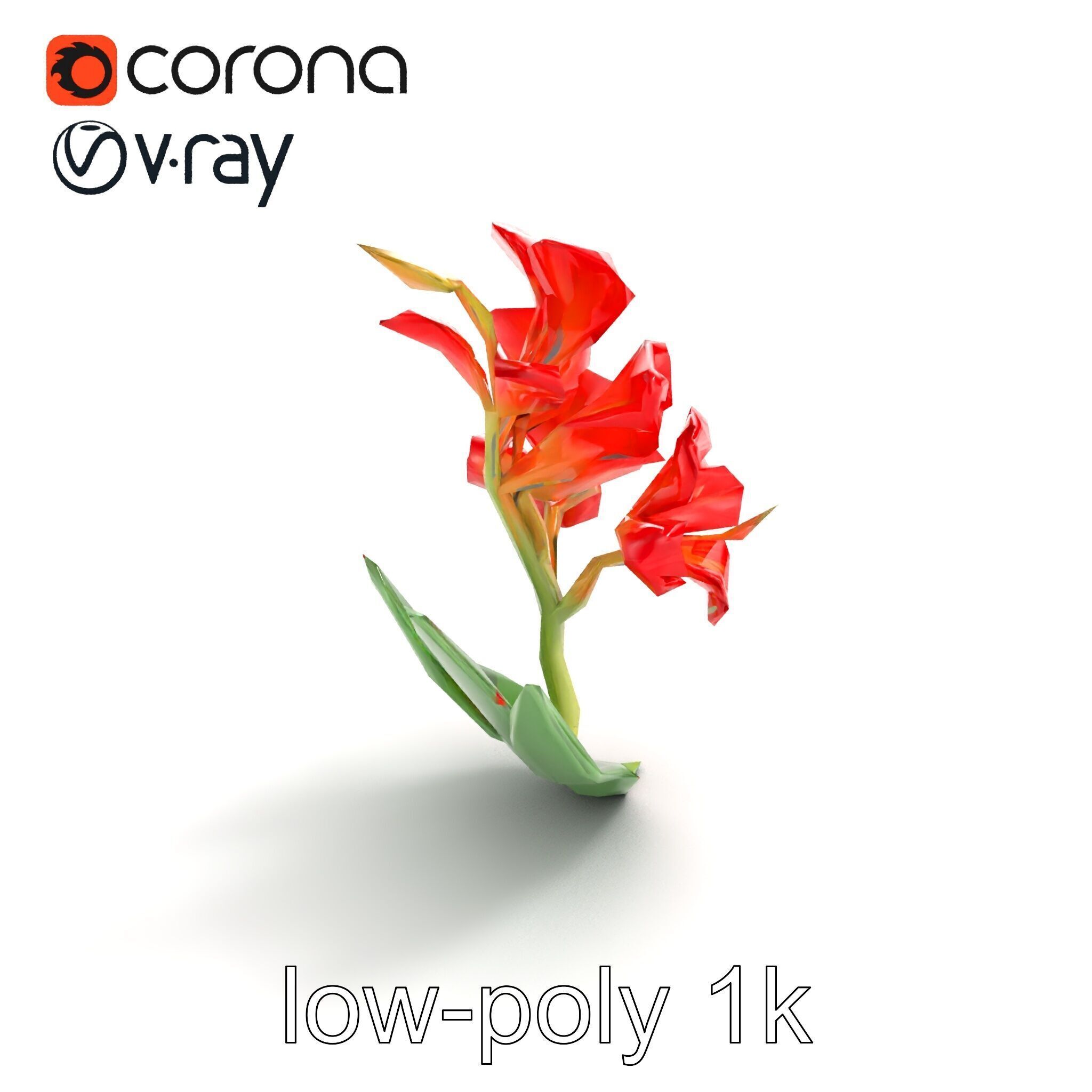 Miniature Gladiolus Flower Realistic Petal Model Pack Low-poly 3D model_9