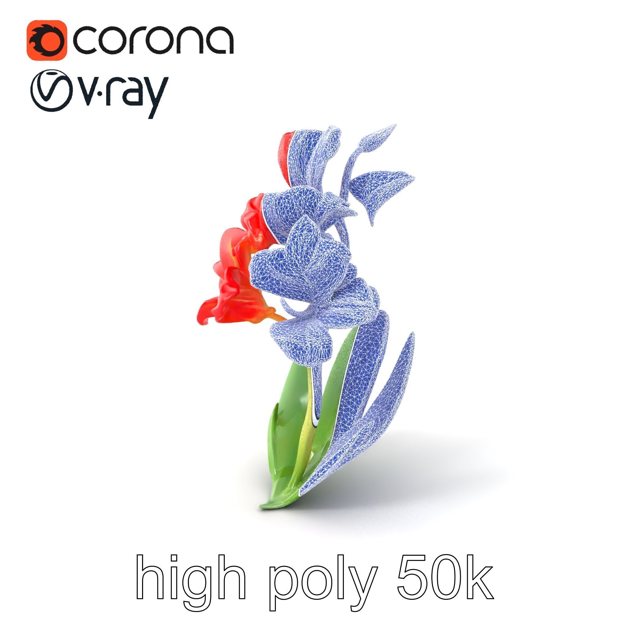 Miniature Gladiolus Flower Realistic Petal Model Pack Low-poly 3D model_10