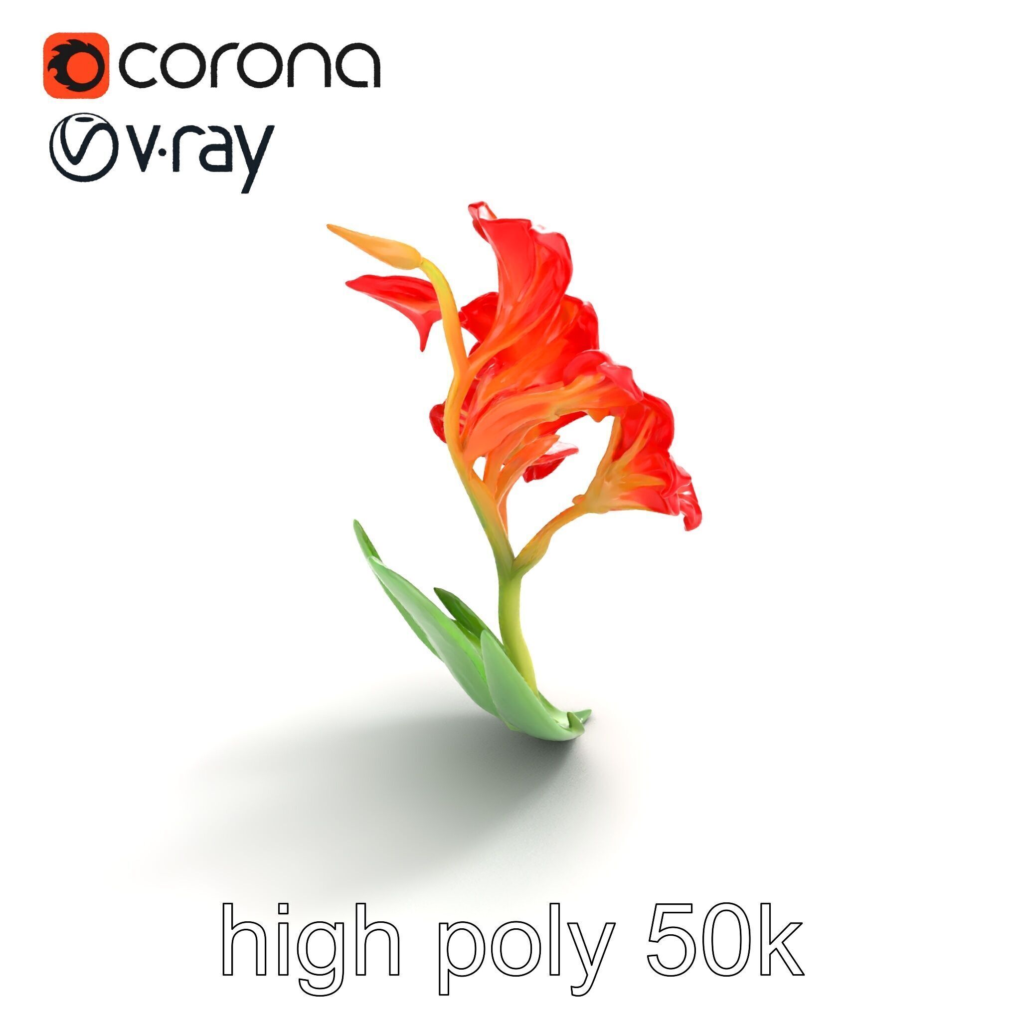 Miniature Gladiolus Flower Realistic Petal Model Pack Low-poly 3D model_20