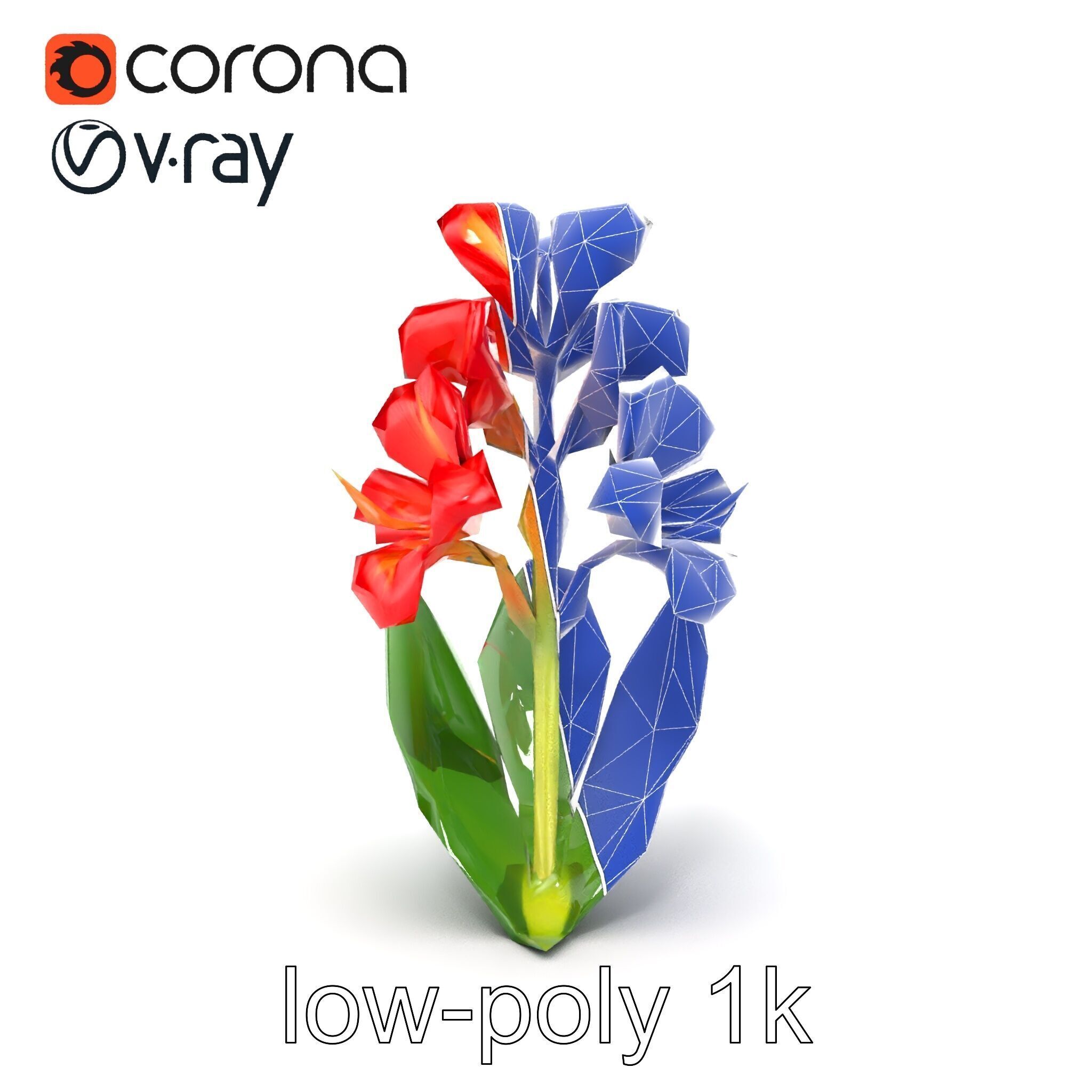 Miniature Gladiolus Flower Realistic Petal Model Pack Low-poly 3D model_29