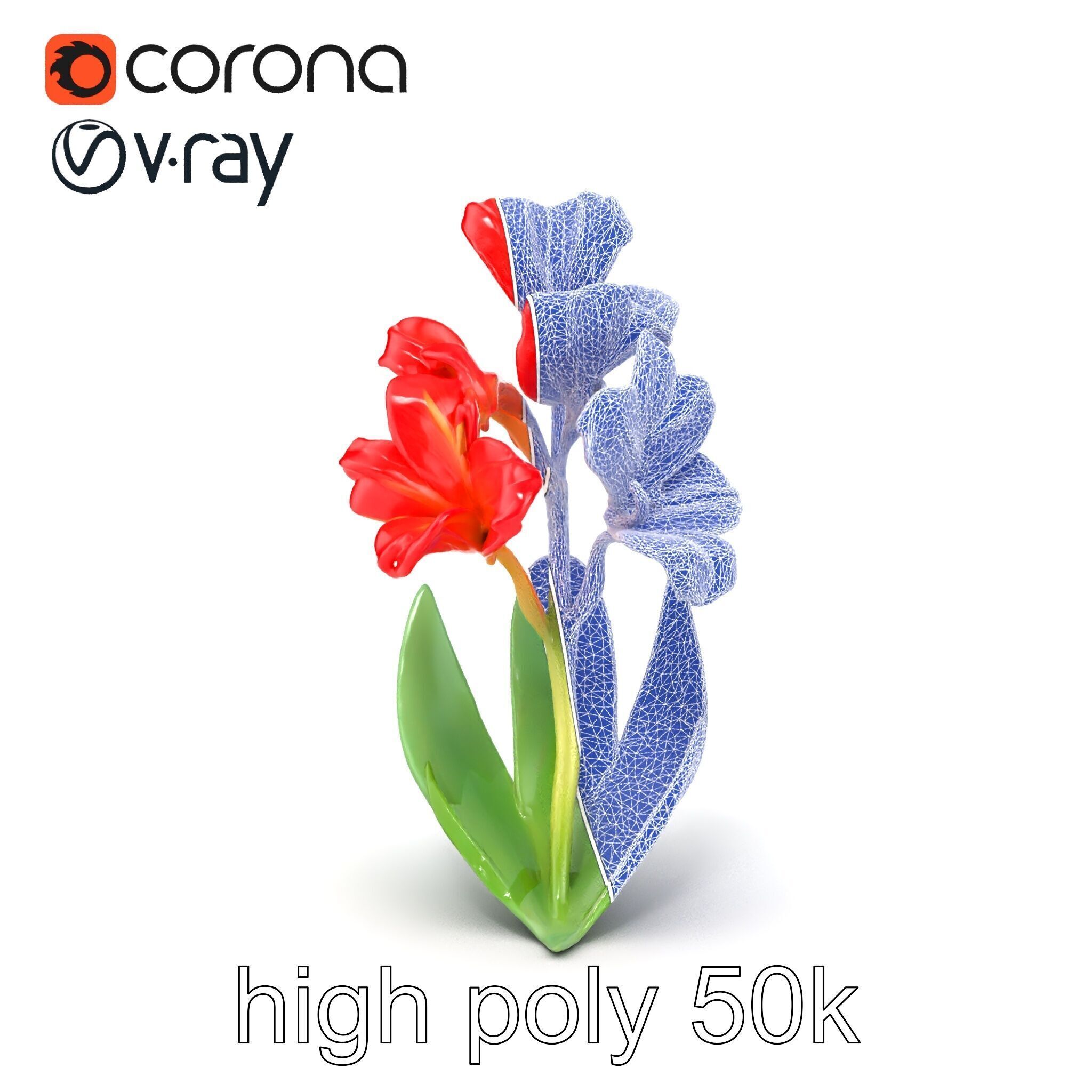 Miniature Gladiolus Flower Realistic Petal Model Pack Low-poly 3D model_32
