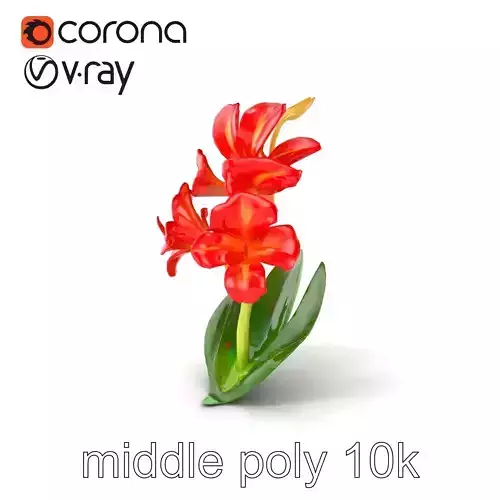 Miniature Gladiolus Flower Realistic Petal Model Pack Low-poly 3D model Miniature Gladiolus Flower Realistic Petal Model Pack Low-poly 3D model