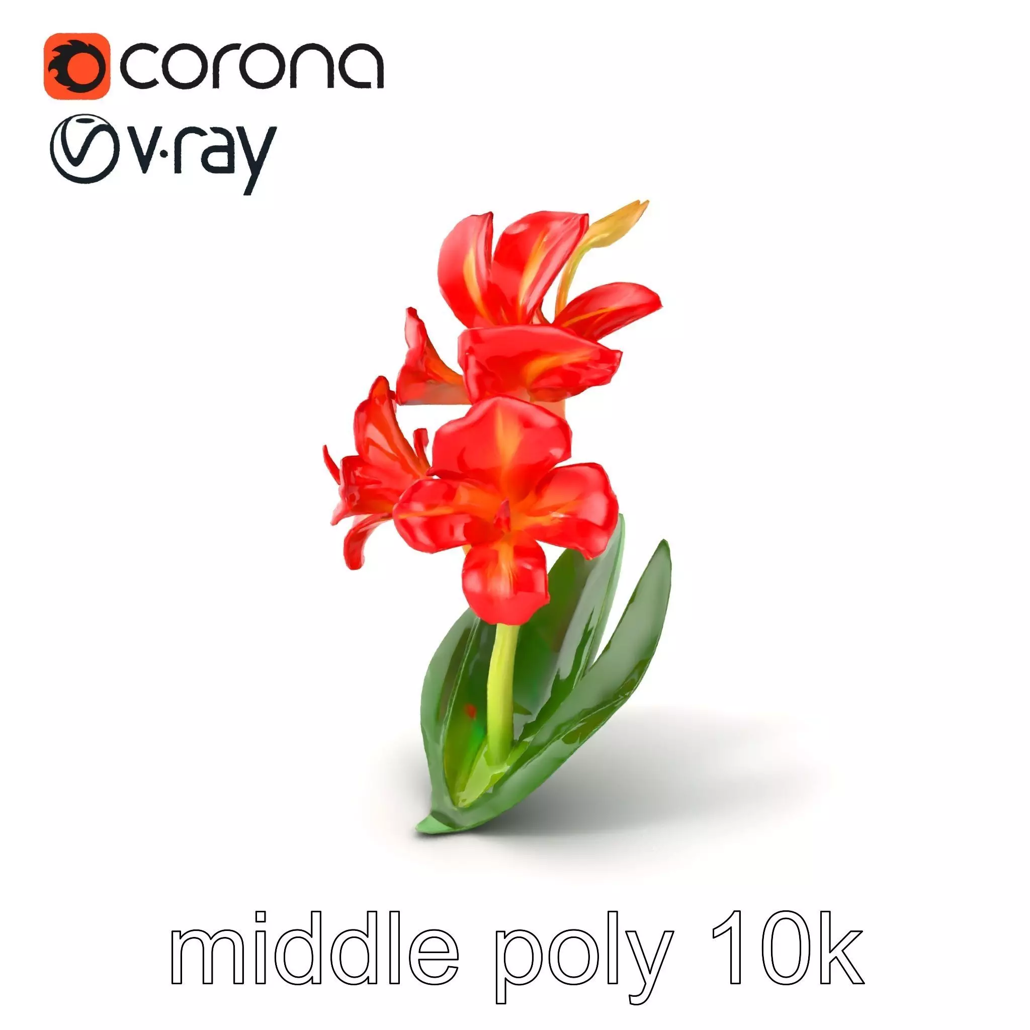 Miniature Gladiolus Flower Realistic Petal Model Pack Low-poly 3D model_0