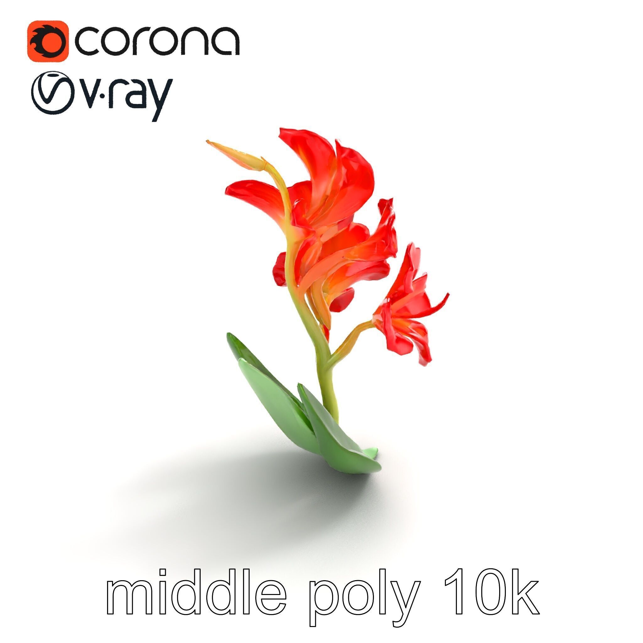 Miniature Gladiolus Flower Realistic Petal Model Pack Low-poly 3D model_8