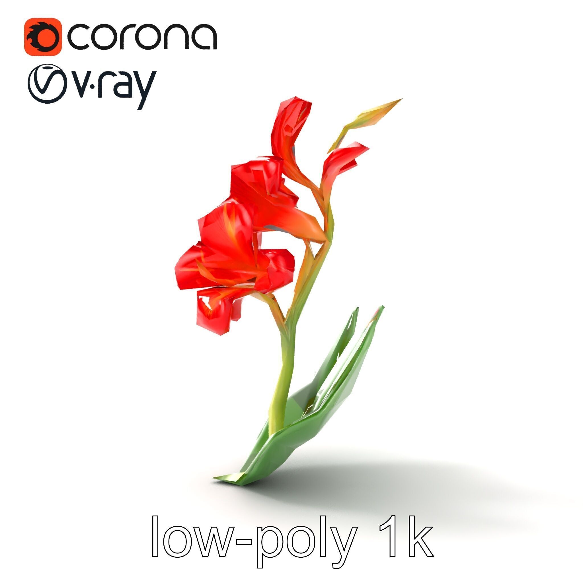 Miniature Gladiolus Flower Realistic Petal Model Pack Low-poly 3D model_13
