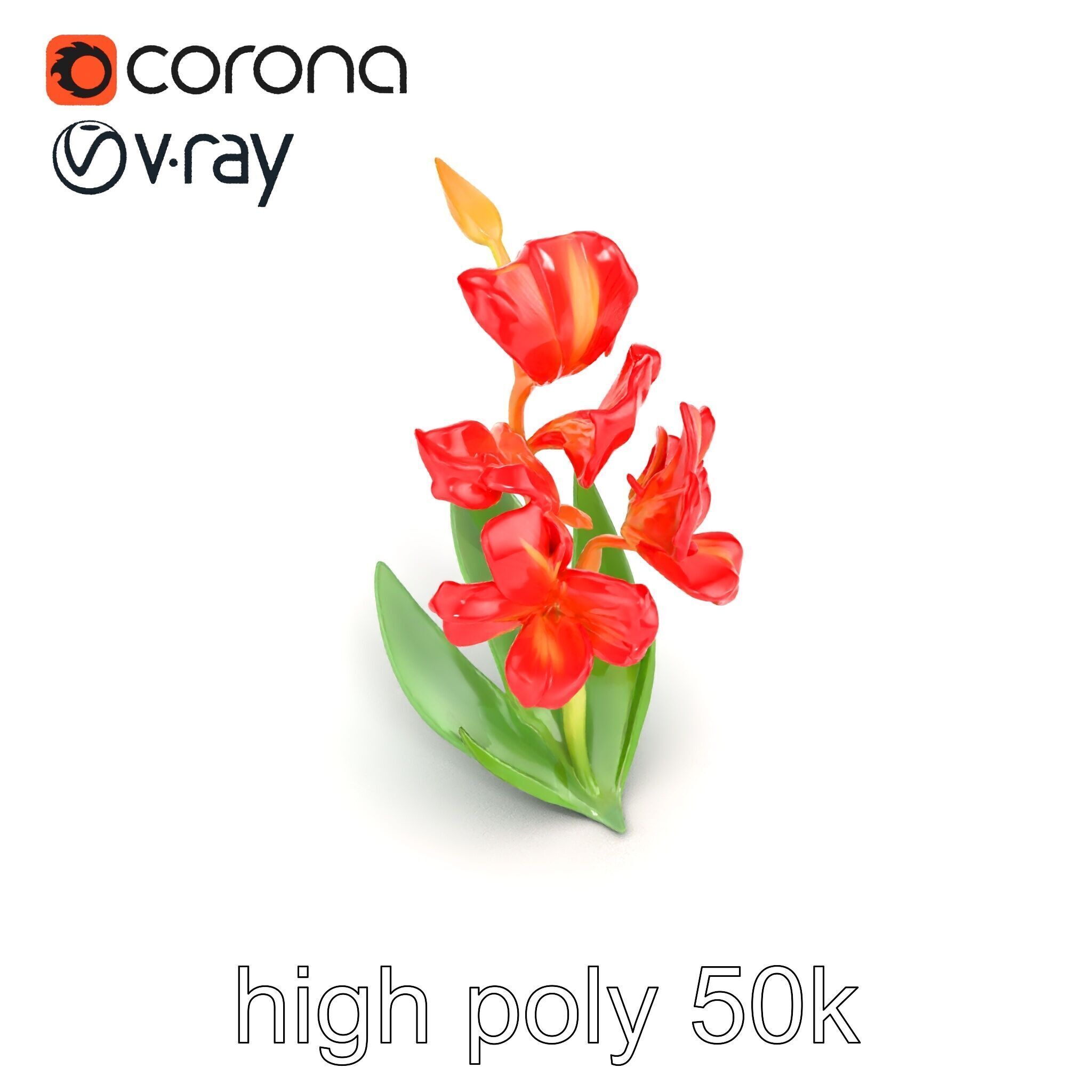 Miniature Gladiolus Flower Realistic Petal Model Pack Low-poly 3D model_24