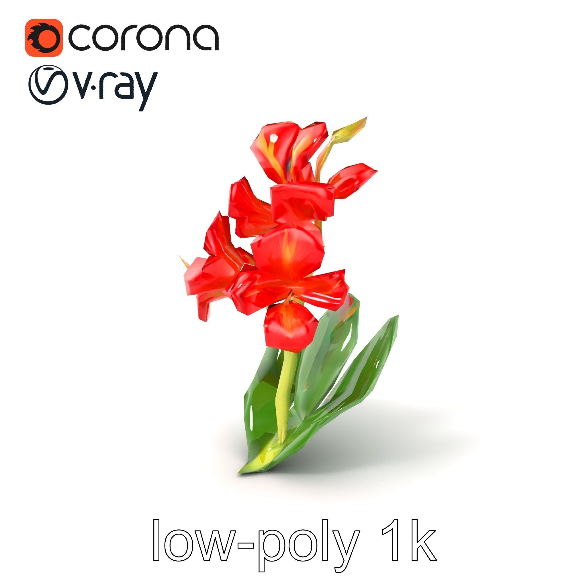 Miniature Gladiolus Flower Realistic Petal Model Pack Low-poly 3D model_5