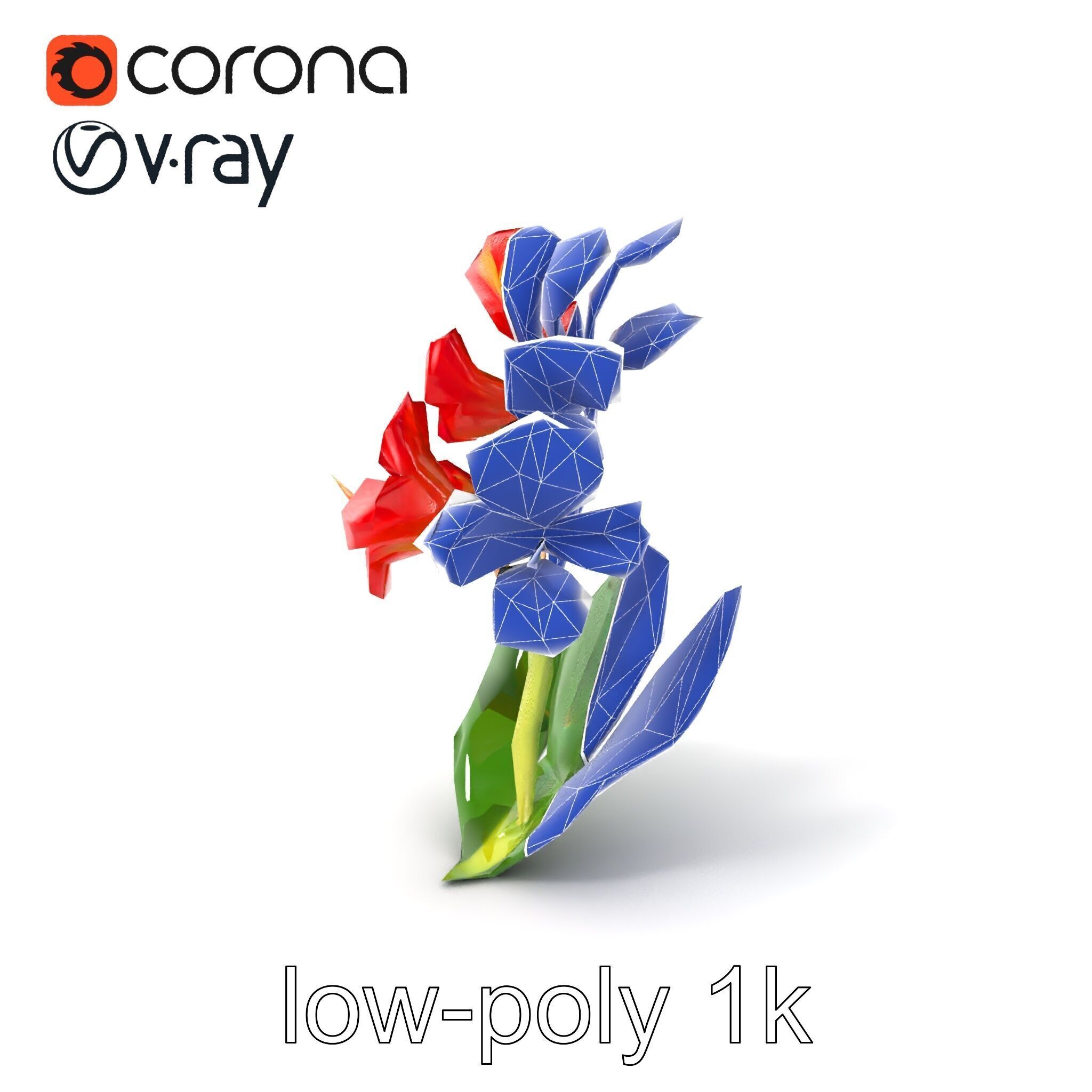 Miniature Gladiolus Flower Realistic Petal Model Pack Low-poly 3D model_7