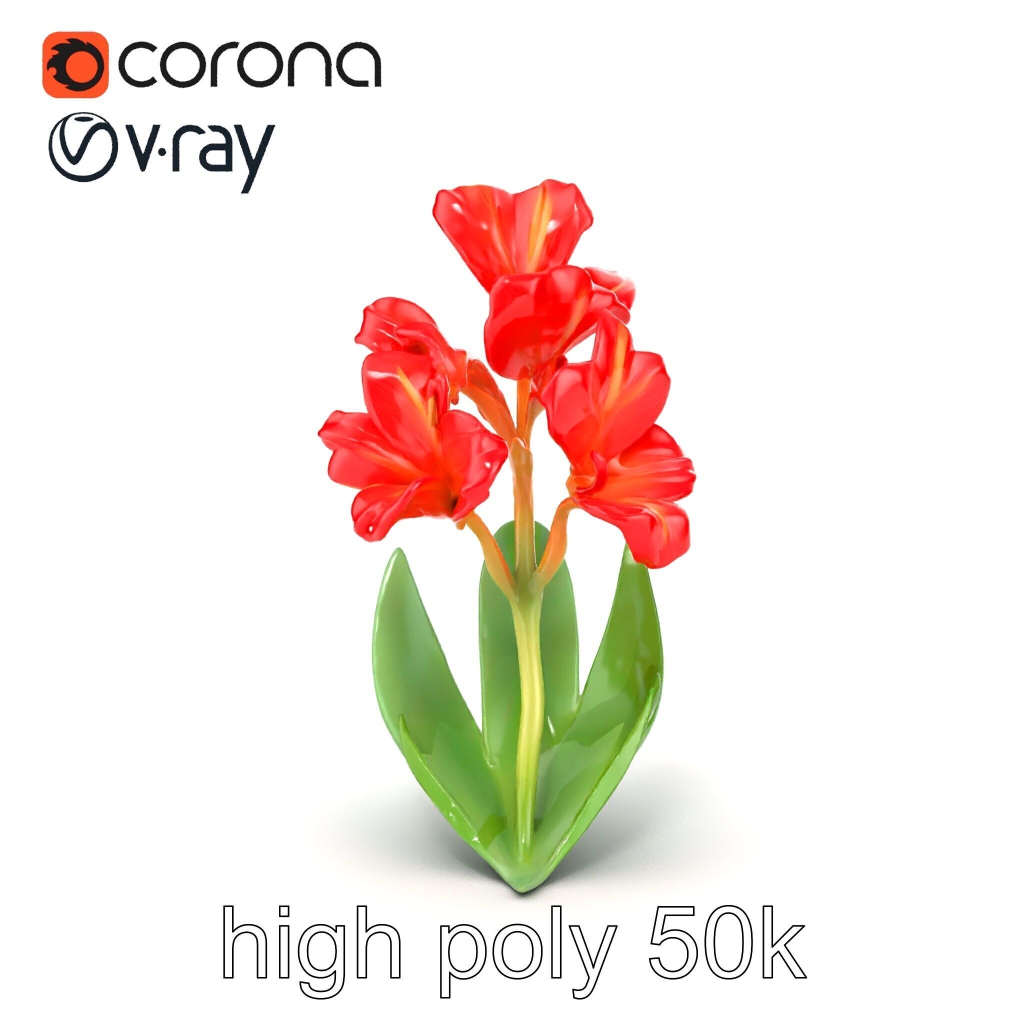 Miniature Gladiolus Flower Realistic Petal Model Pack Low-poly 3D model_31