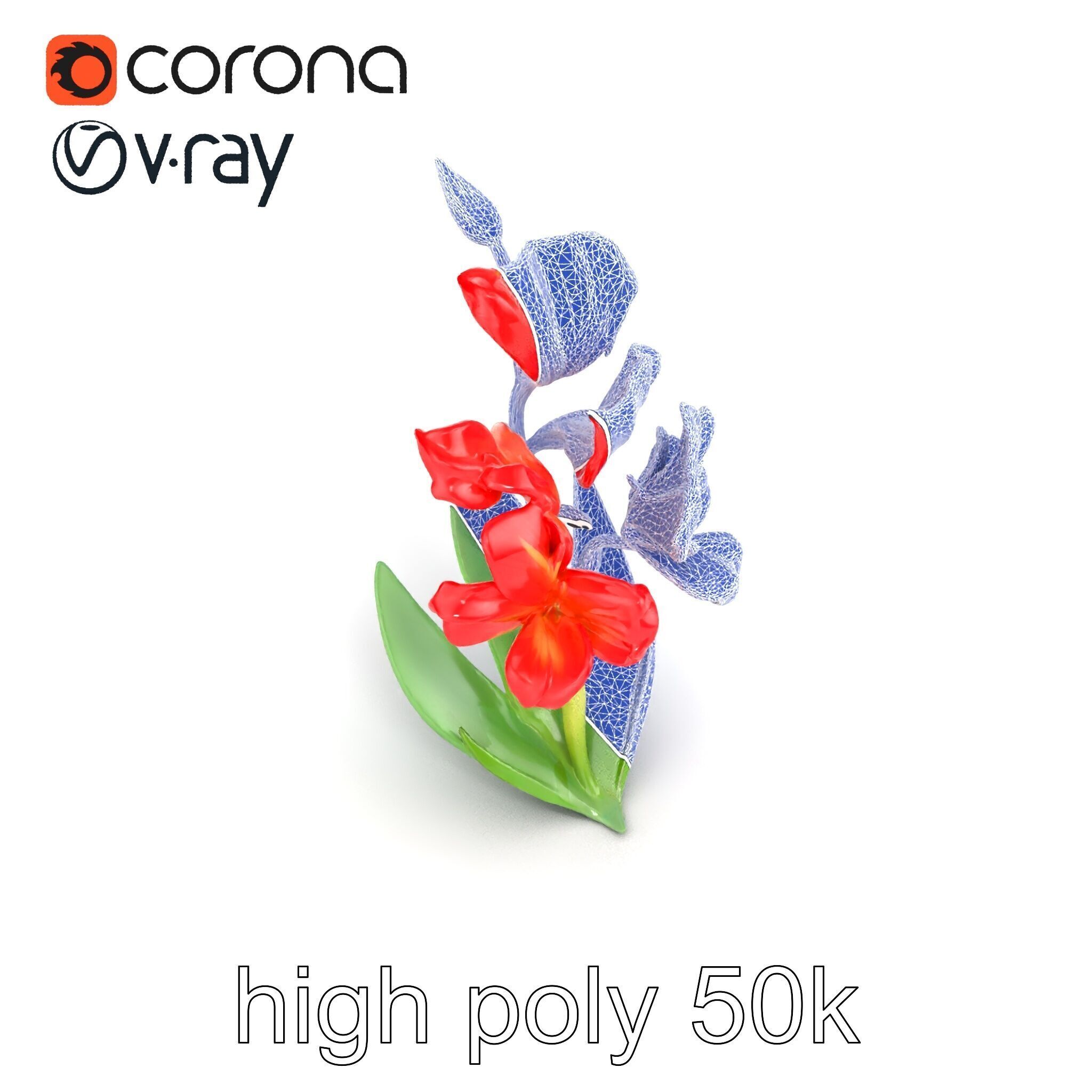 Miniature Gladiolus Flower Realistic Petal Model Pack Low-poly 3D model_14