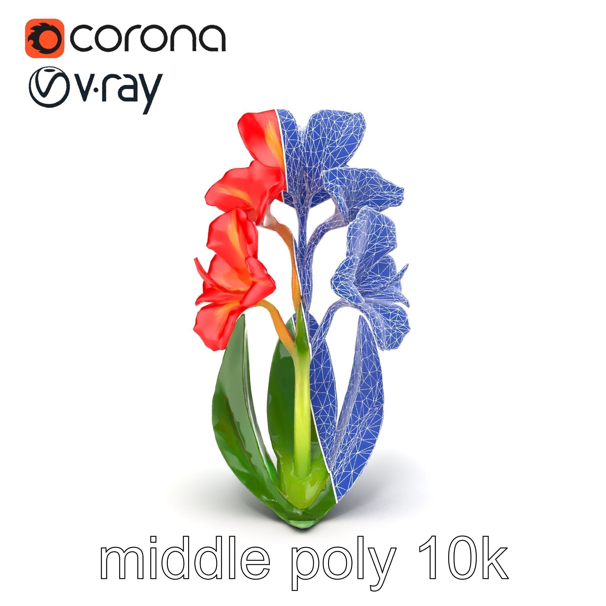 Miniature Gladiolus Flower Realistic Petal Model Pack Low-poly 3D model_25