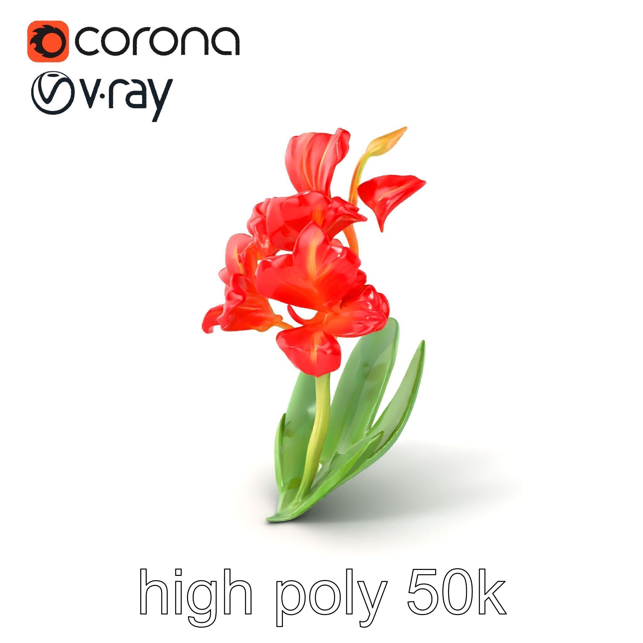 Miniature Gladiolus Flower Realistic Petal Model Pack Low-poly 3D model_2