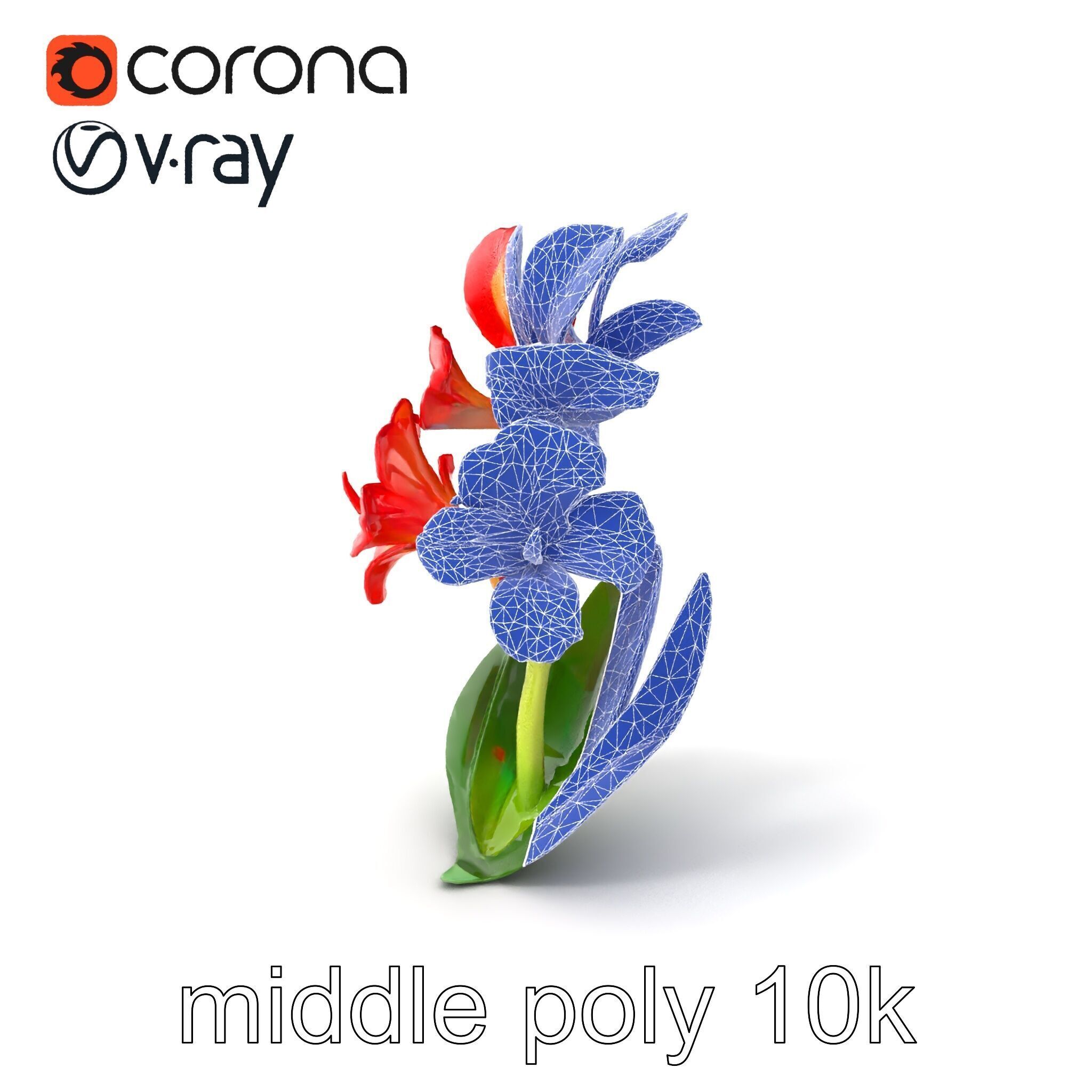 Miniature Gladiolus Flower Realistic Petal Model Pack Low-poly 3D model_6