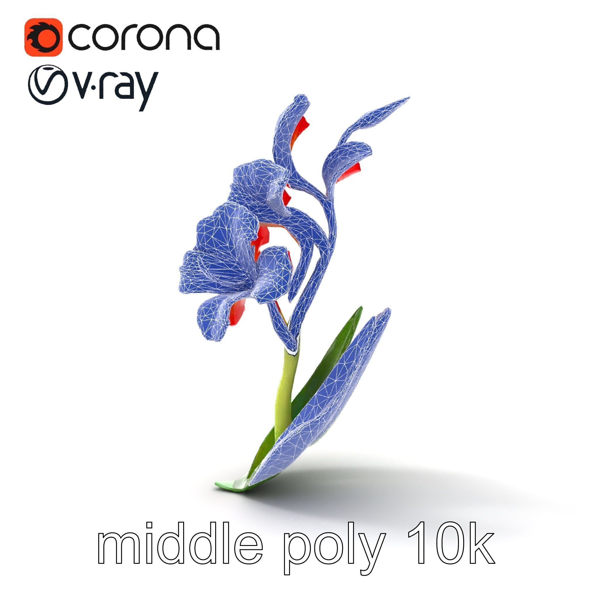Miniature Gladiolus Flower Realistic Petal Model Pack Low-poly 3D model_21