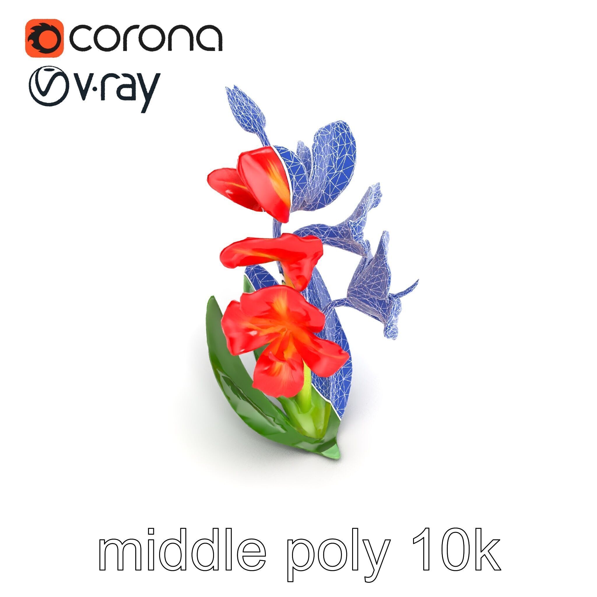 Miniature Gladiolus Flower Realistic Petal Model Pack Low-poly 3D model_23